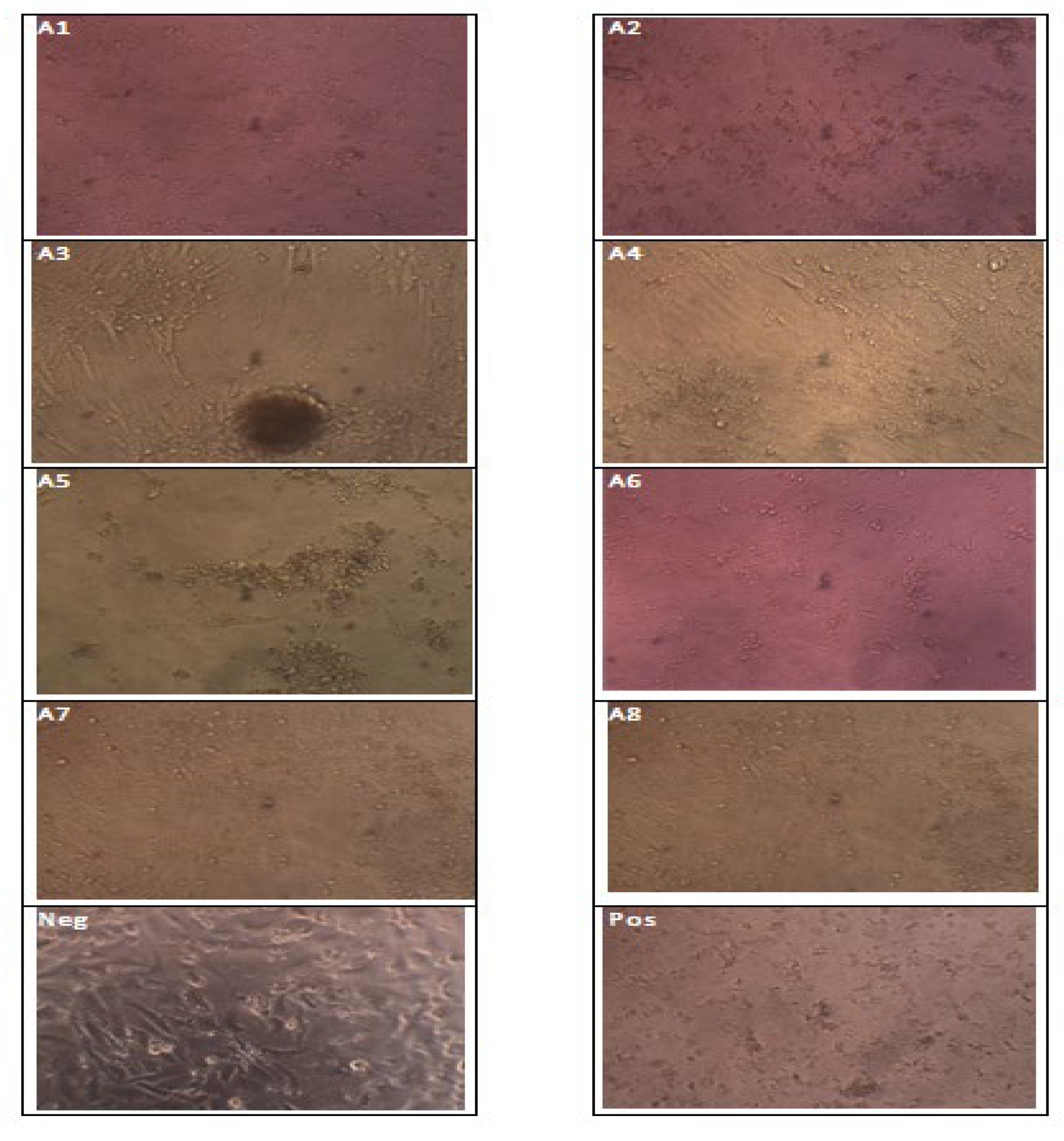 Molecules 27 06191 g008
