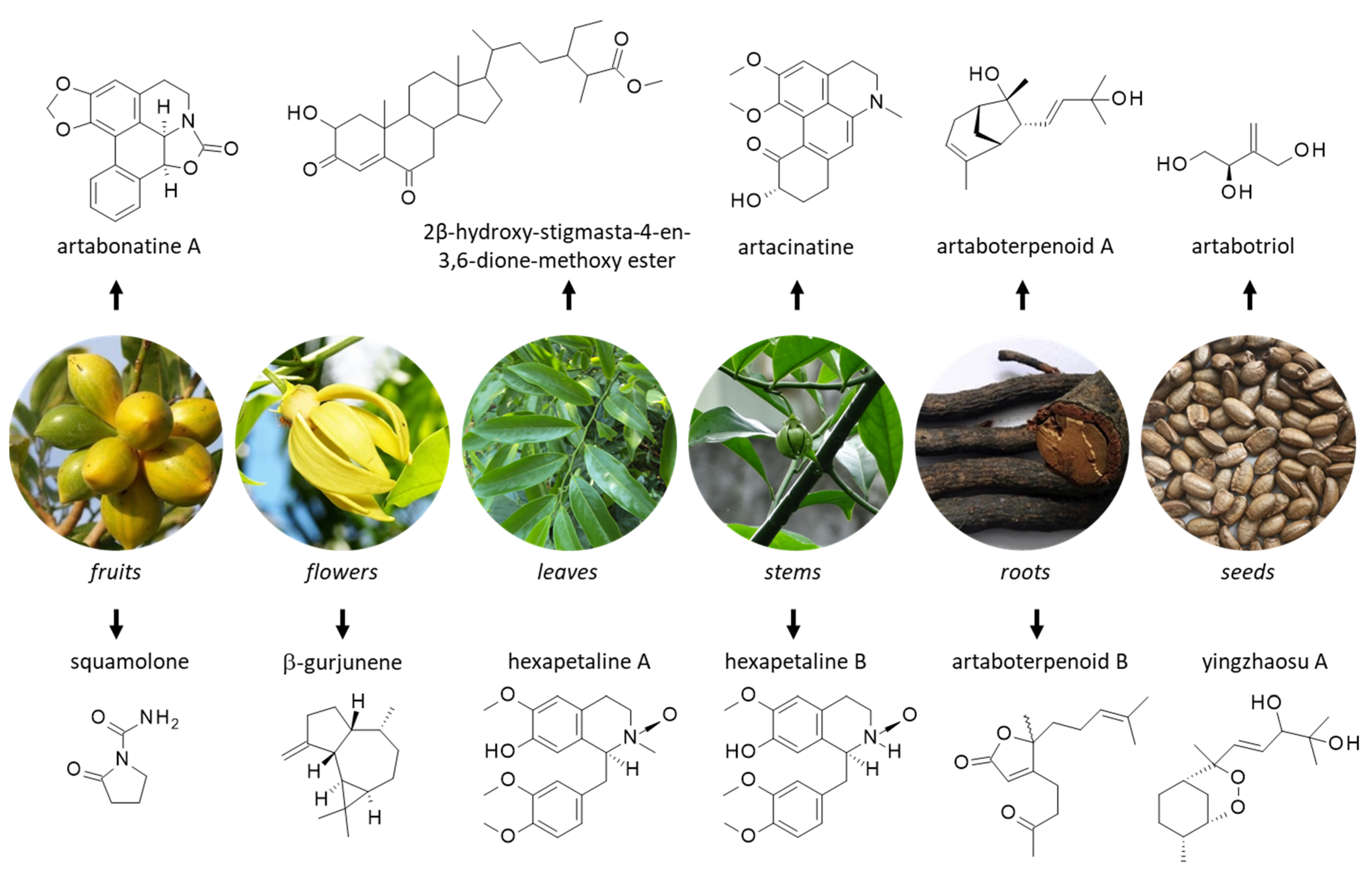 Molecules 27 06192 g002