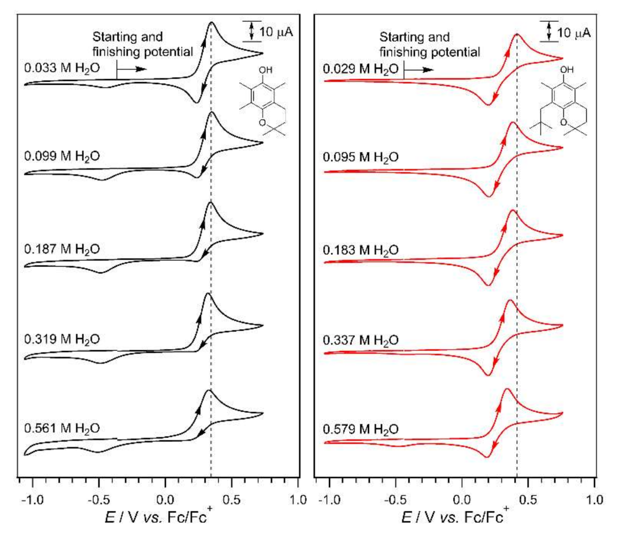 Molecules 27 06194 g004 Molecules 27 06194 g004