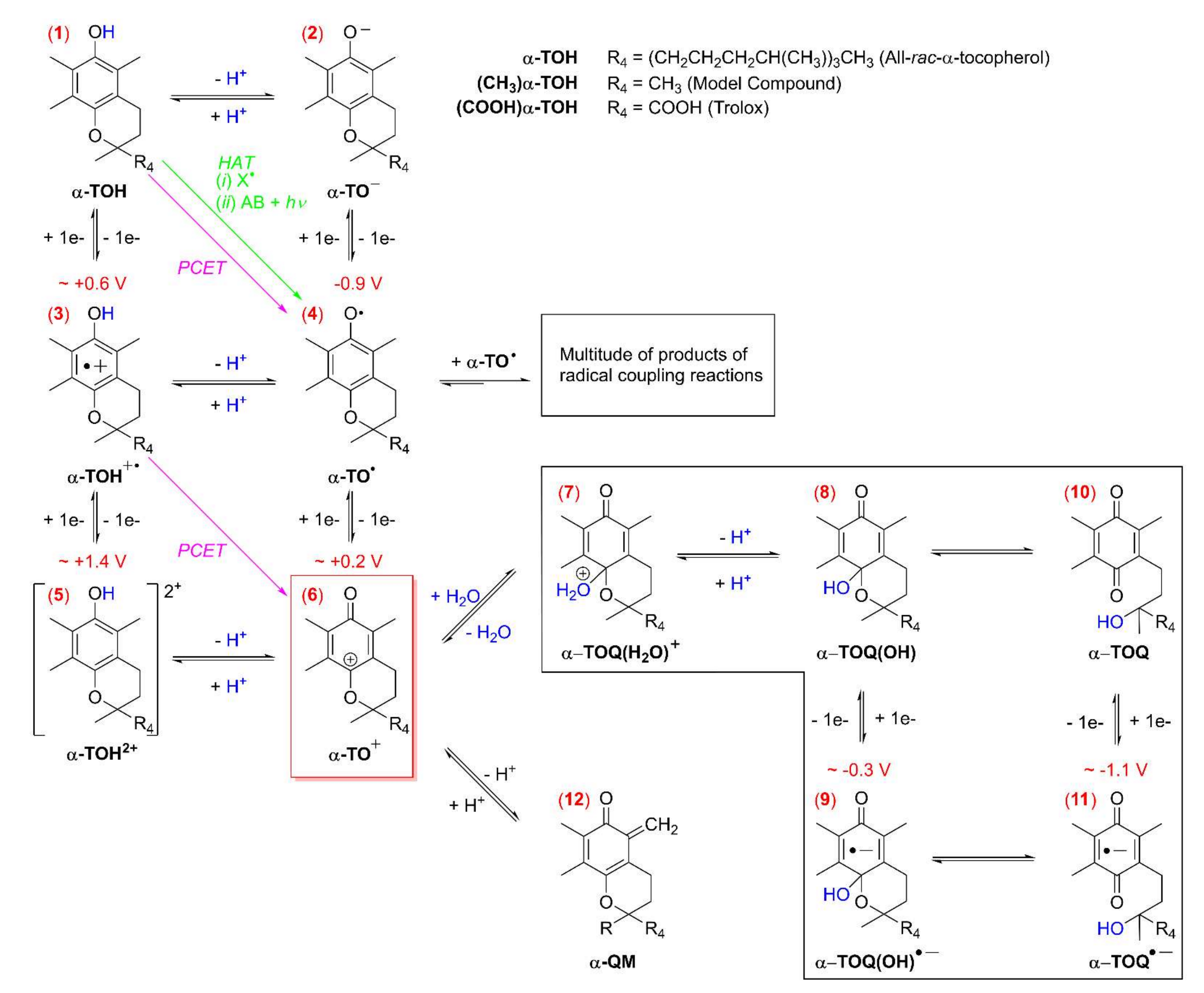 Molecules 27 06194 sch002 Molecules 27 06194 sch002
