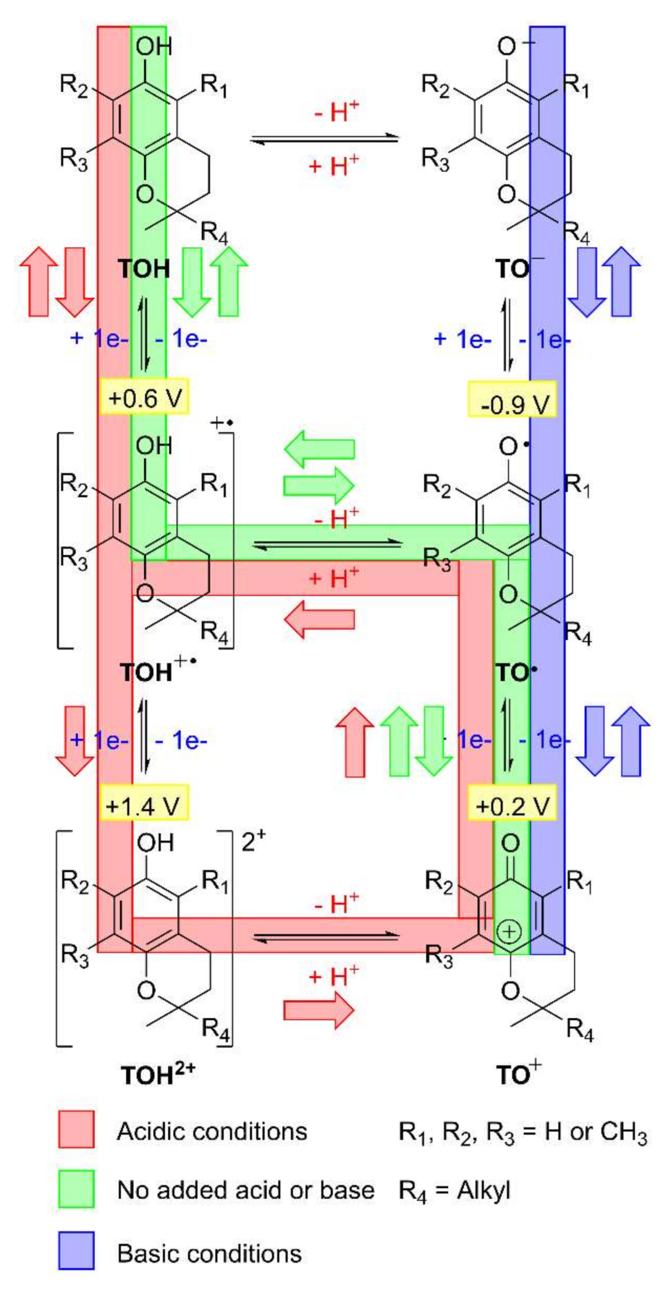 Molecules 27 06194 sch004 Molecules 27 06194 sch004