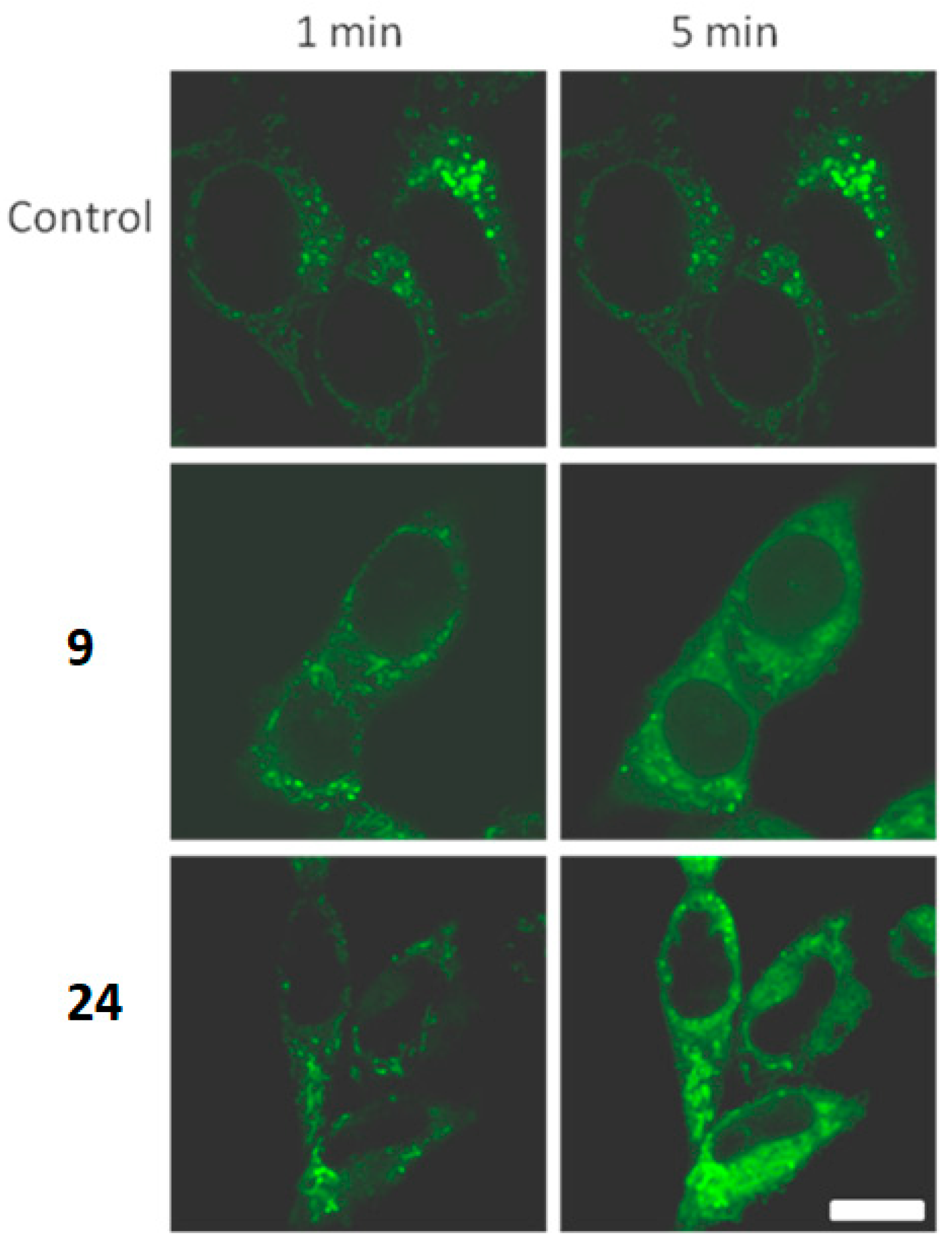 Molecules 27 06200 g004