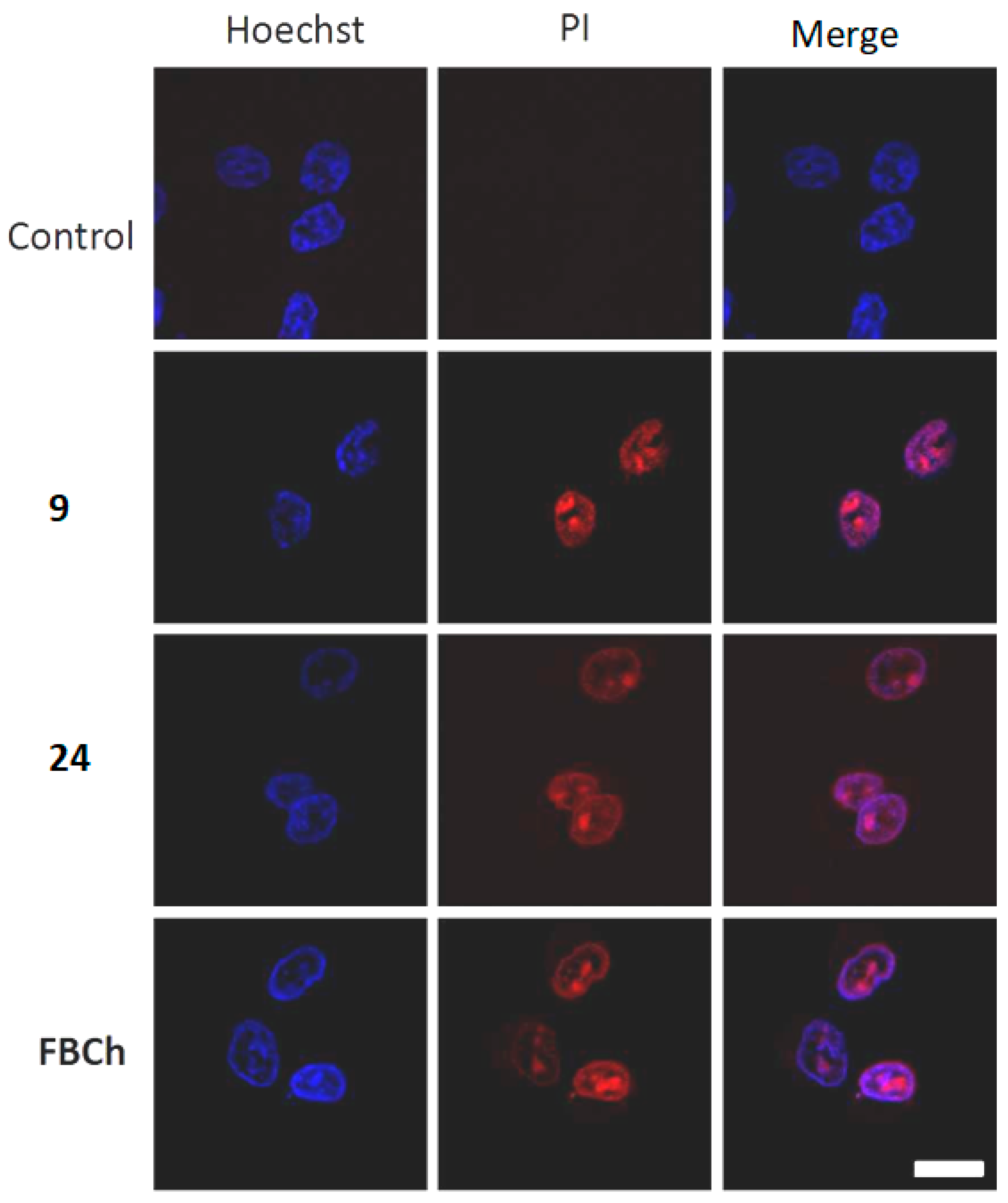 Molecules 27 06200 g005