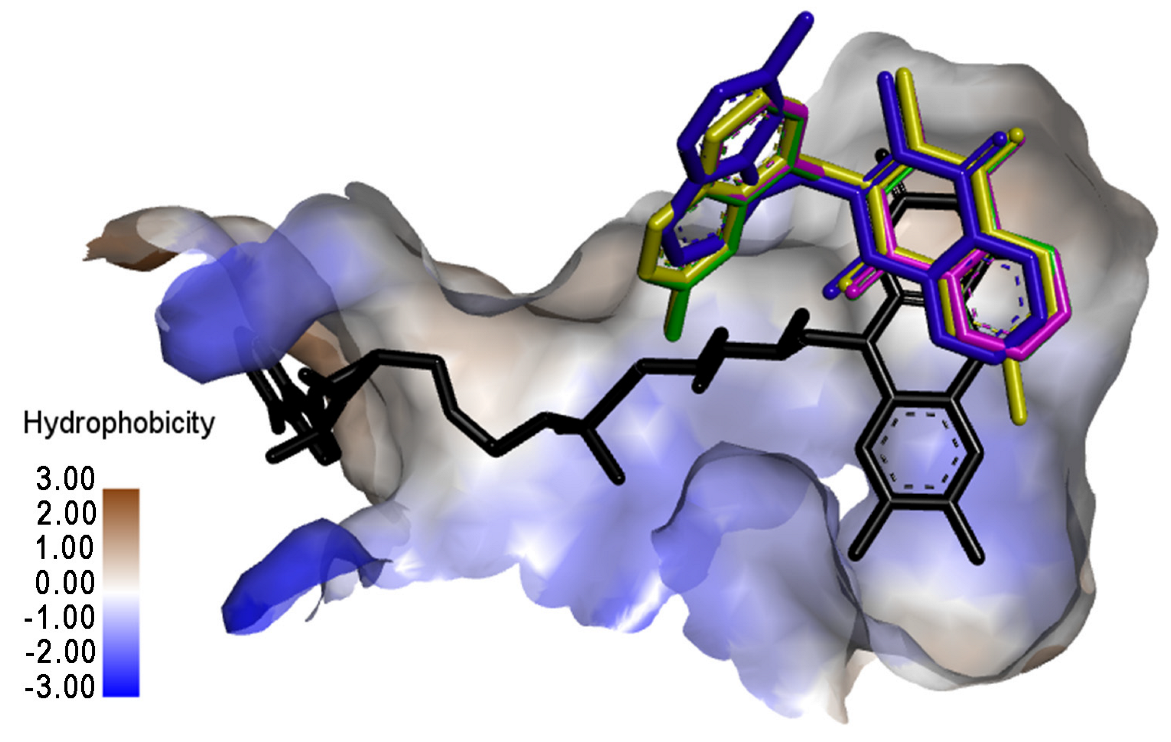 Molecules 27 06206 g004 Molecules 27 06206 g004