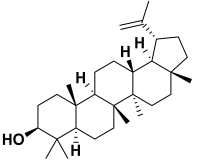 Molecules 27 06207 i007 Molecules 27 06207 i007