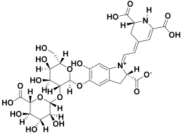 Molecules 27 06207 i010 Molecules 27 06207 i010