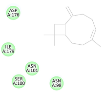 Molecules 27 06207 i044 Molecules 27 06207 i044