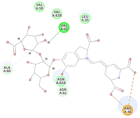 Molecules 27 06207 i048 Molecules 27 06207 i048
