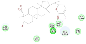 Molecules 27 06207 i052 Molecules 27 06207 i052
