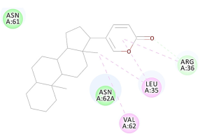 Molecules 27 06207 i059 Molecules 27 06207 i059
