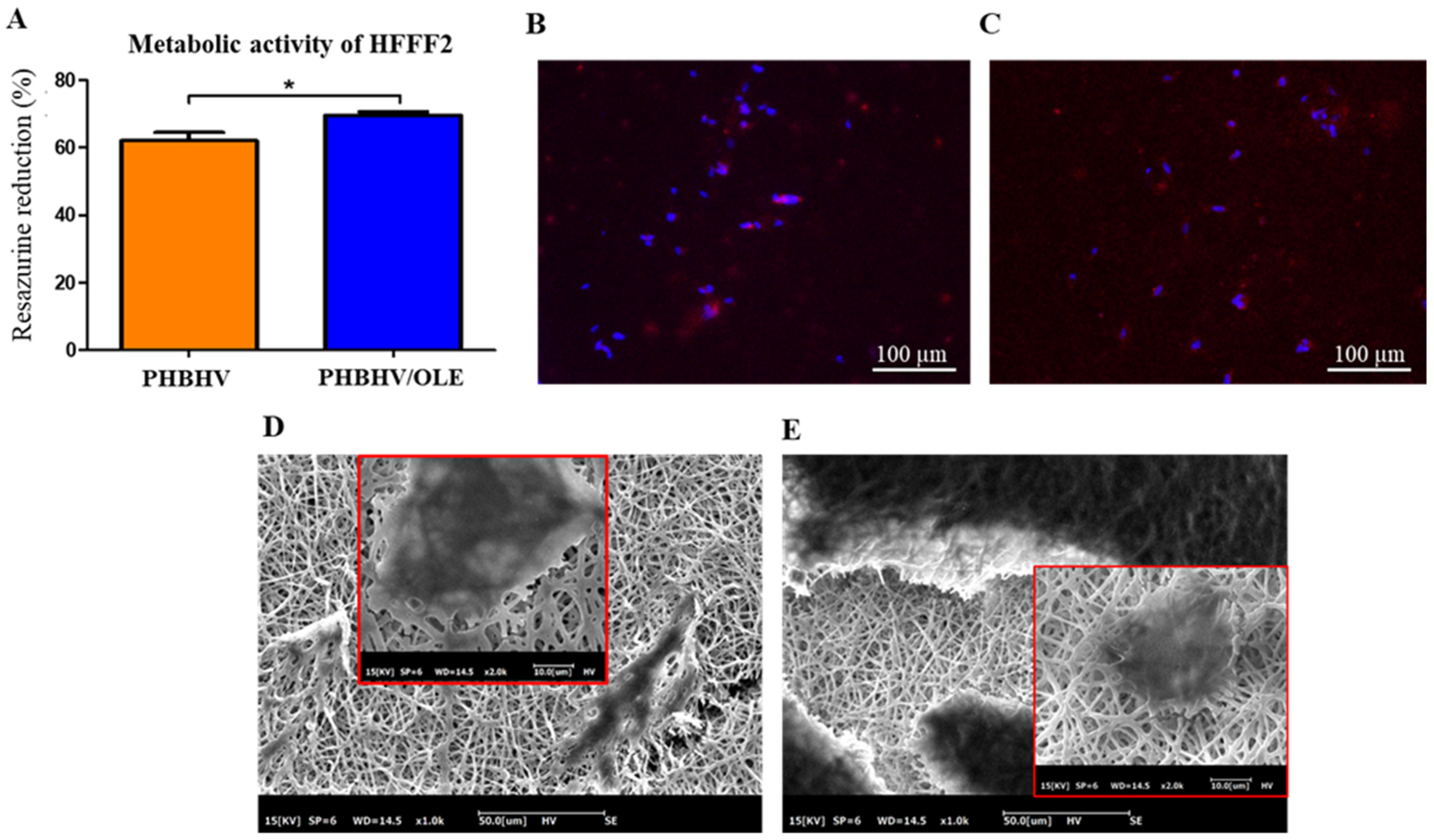 Molecules 27 06208 g007 Molecules 27 06208 g007