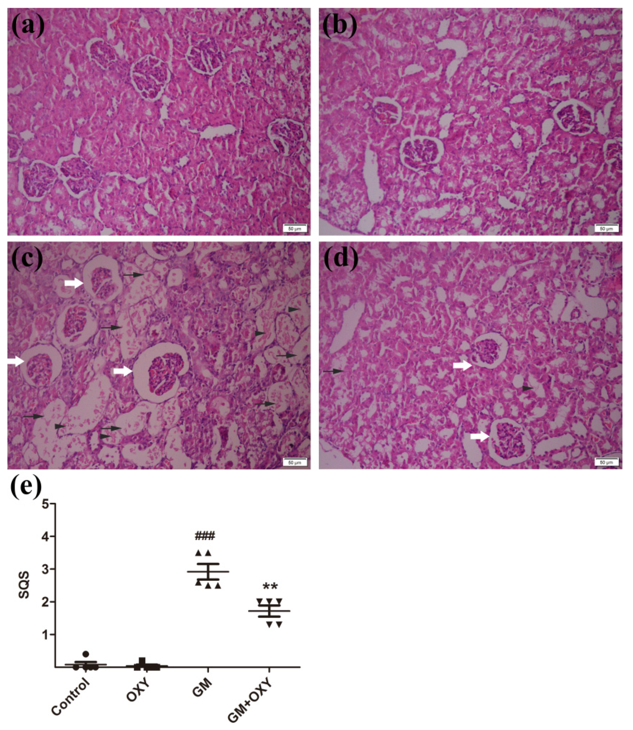 Molecules 27 06209 g002 Molecules 27 06209 g002