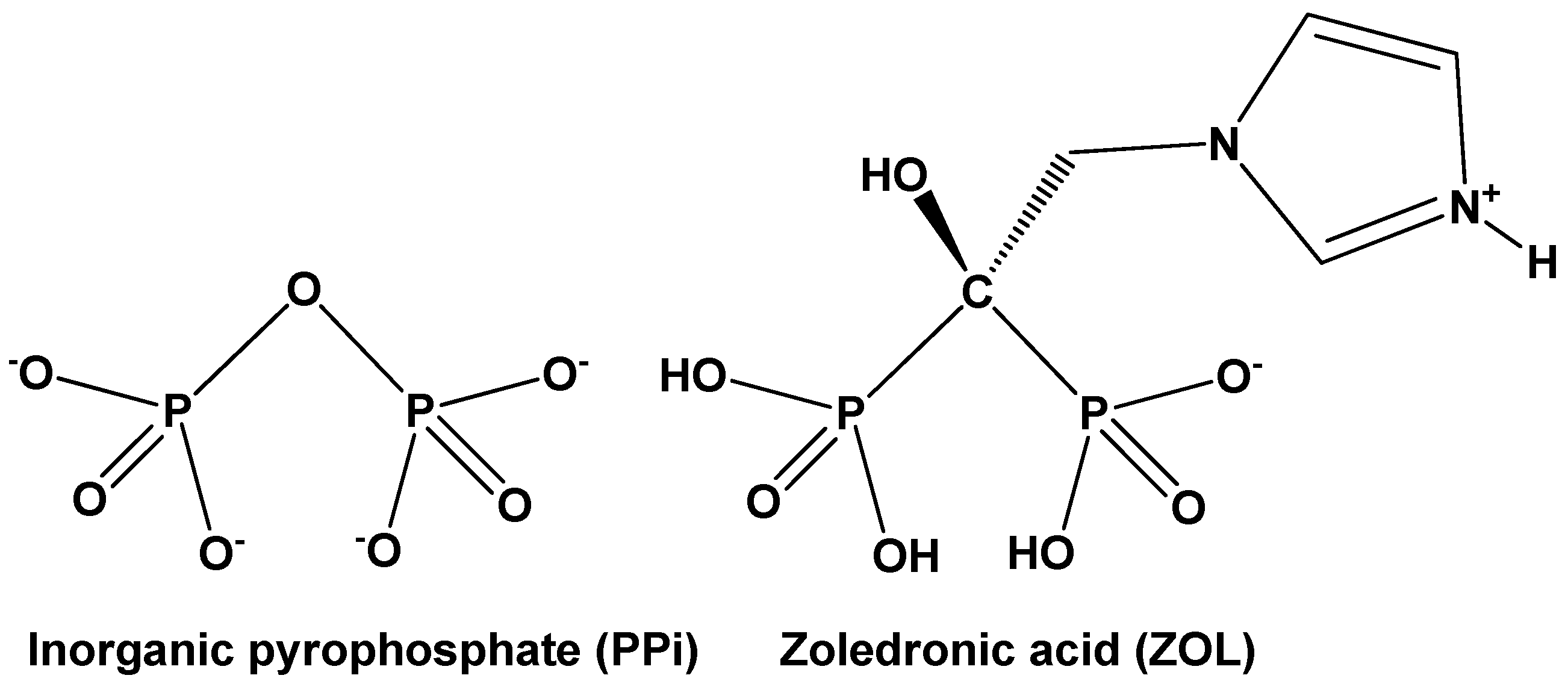 Molecules 27 06212 g001