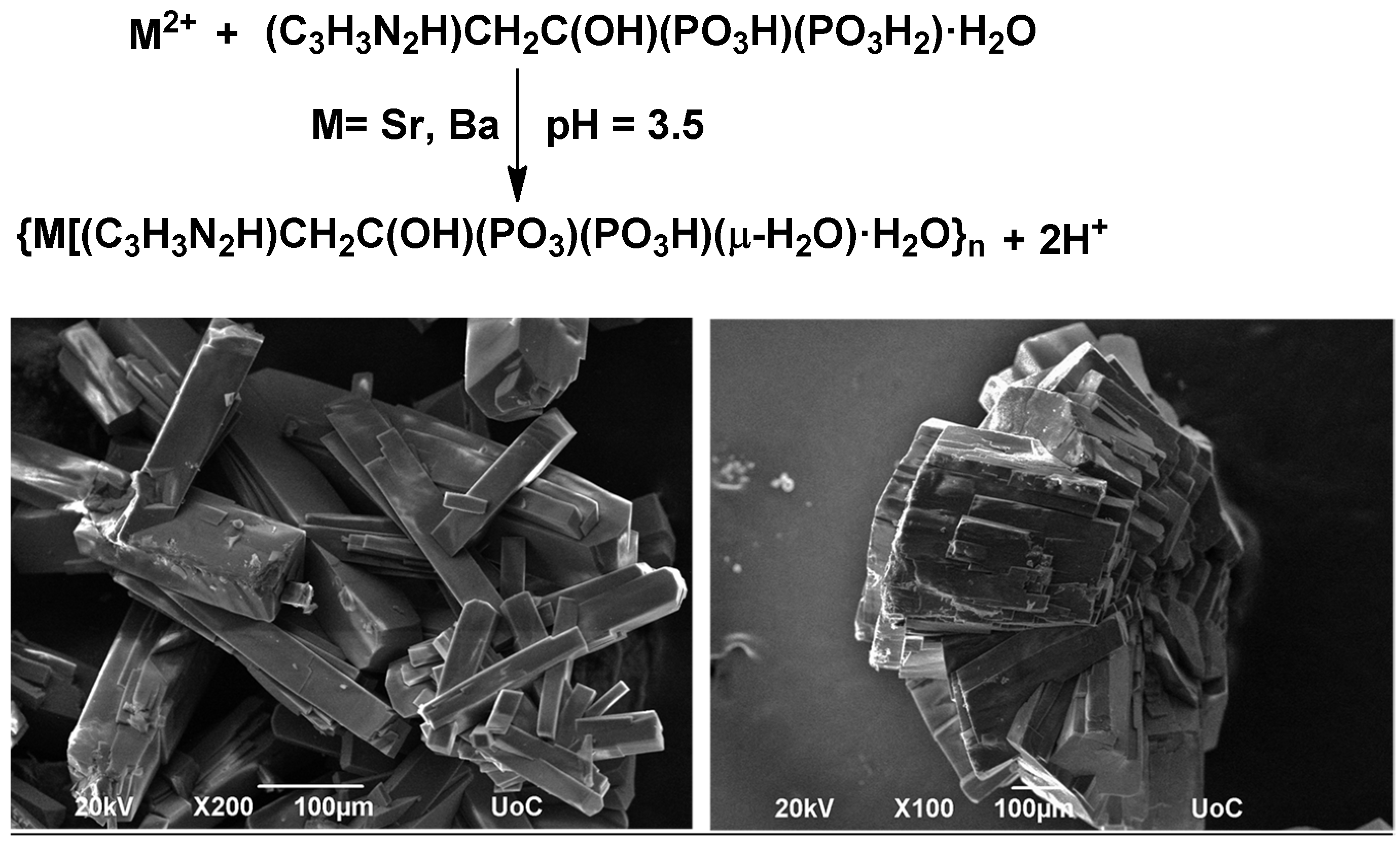 Molecules 27 06212 g002