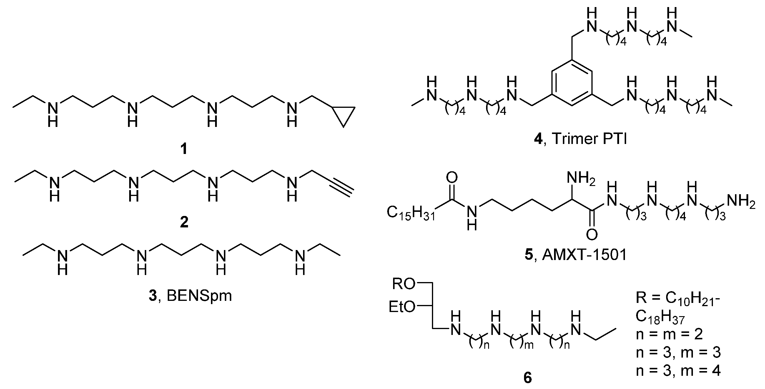 Molecules 27 06218 g001