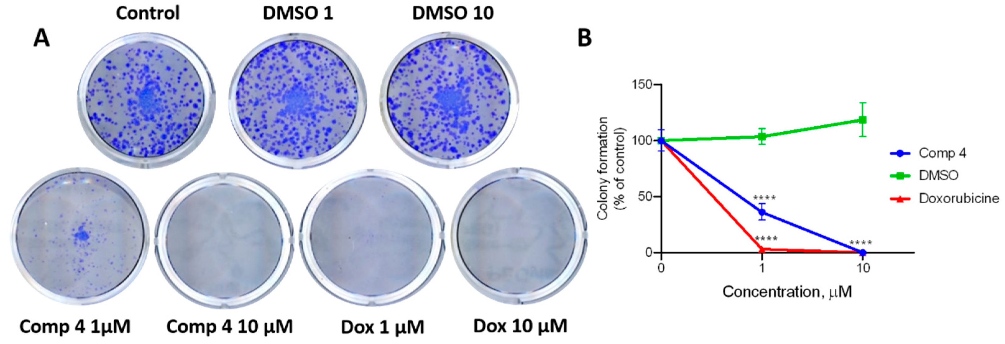 Molecules 27 06219 g010 Molecules 27 06219 g010