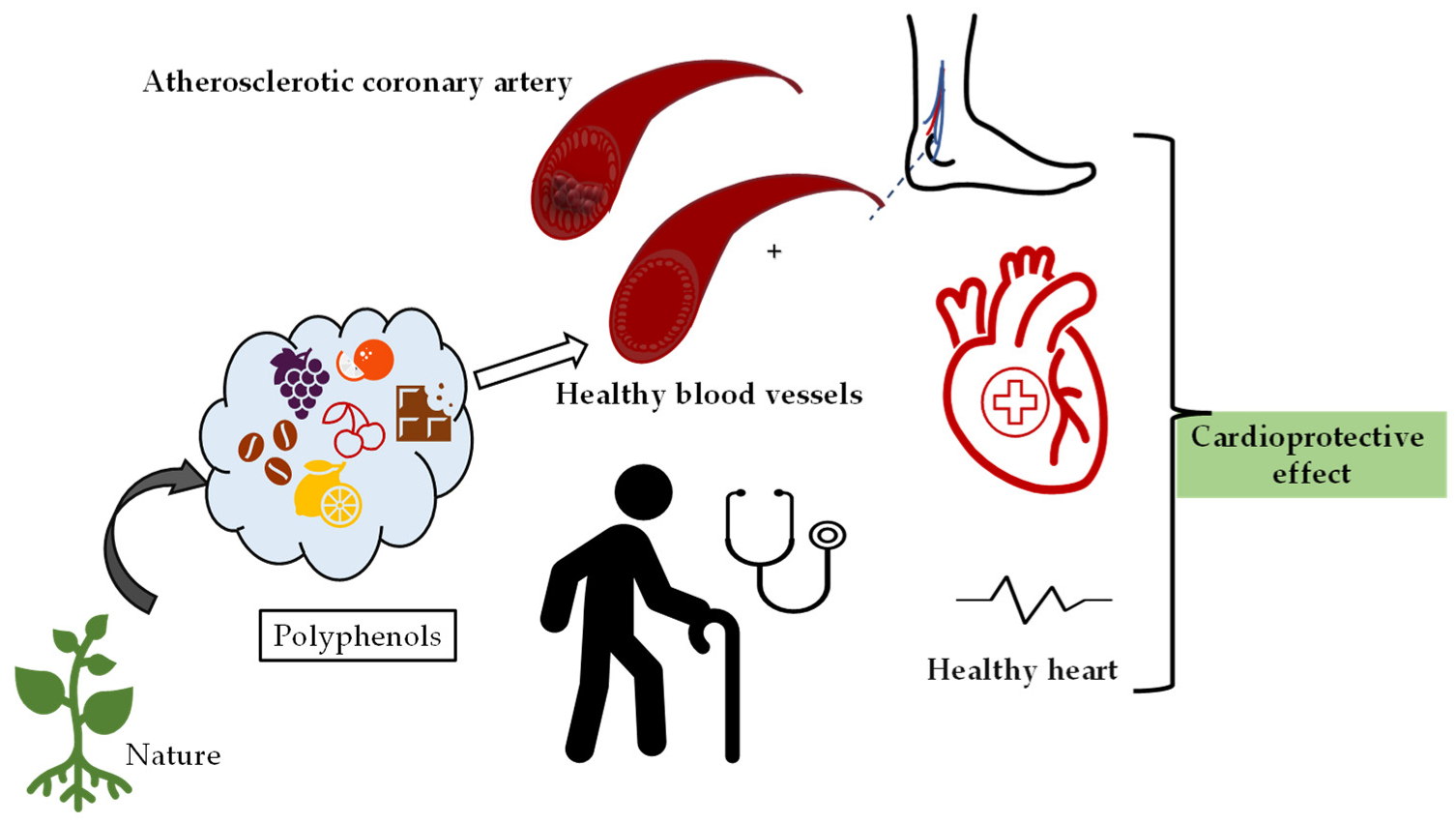 Molecules 27 06225 g003 Molecules 27 06225 g003