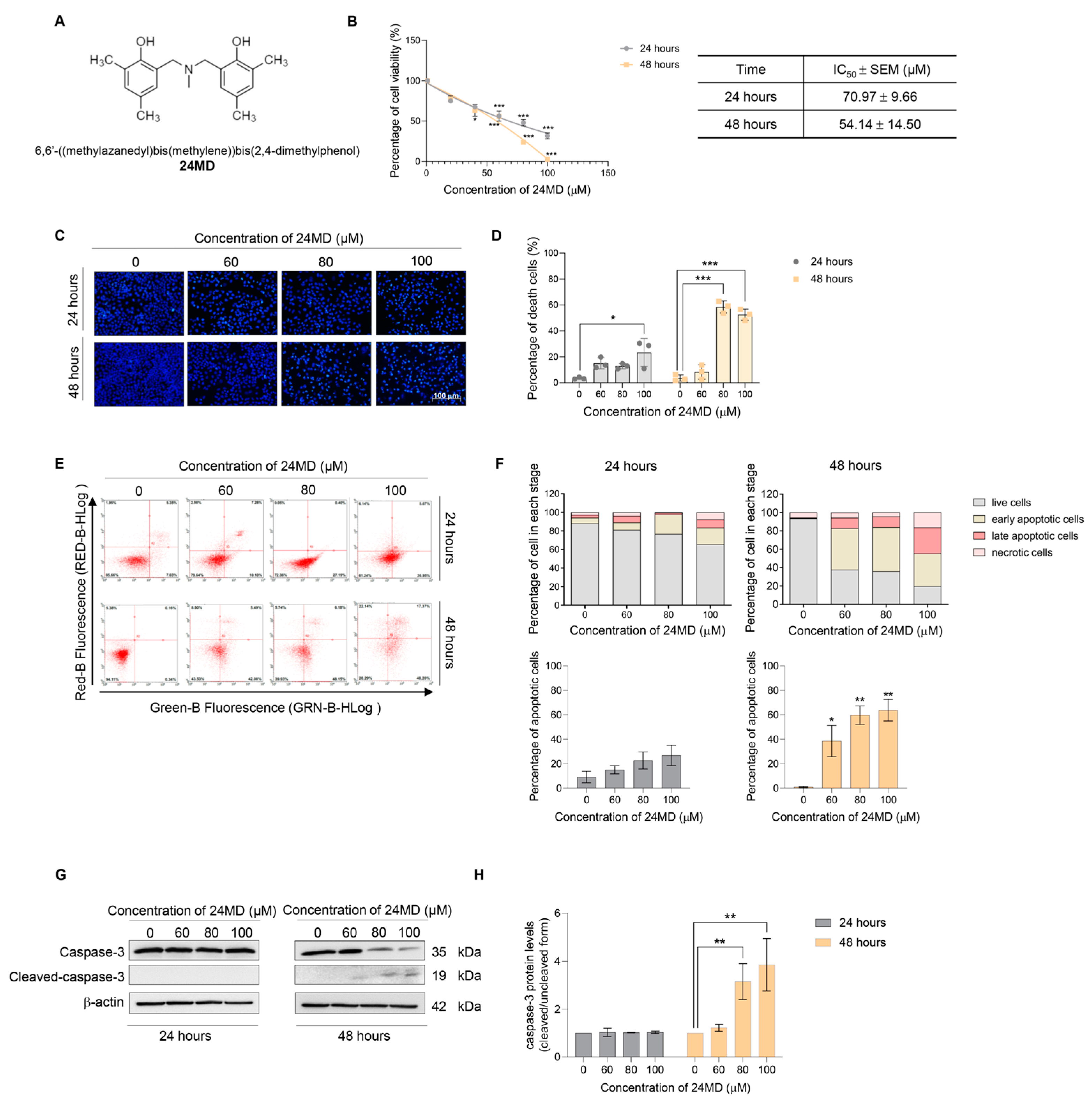 Molecules 27 06230 g001