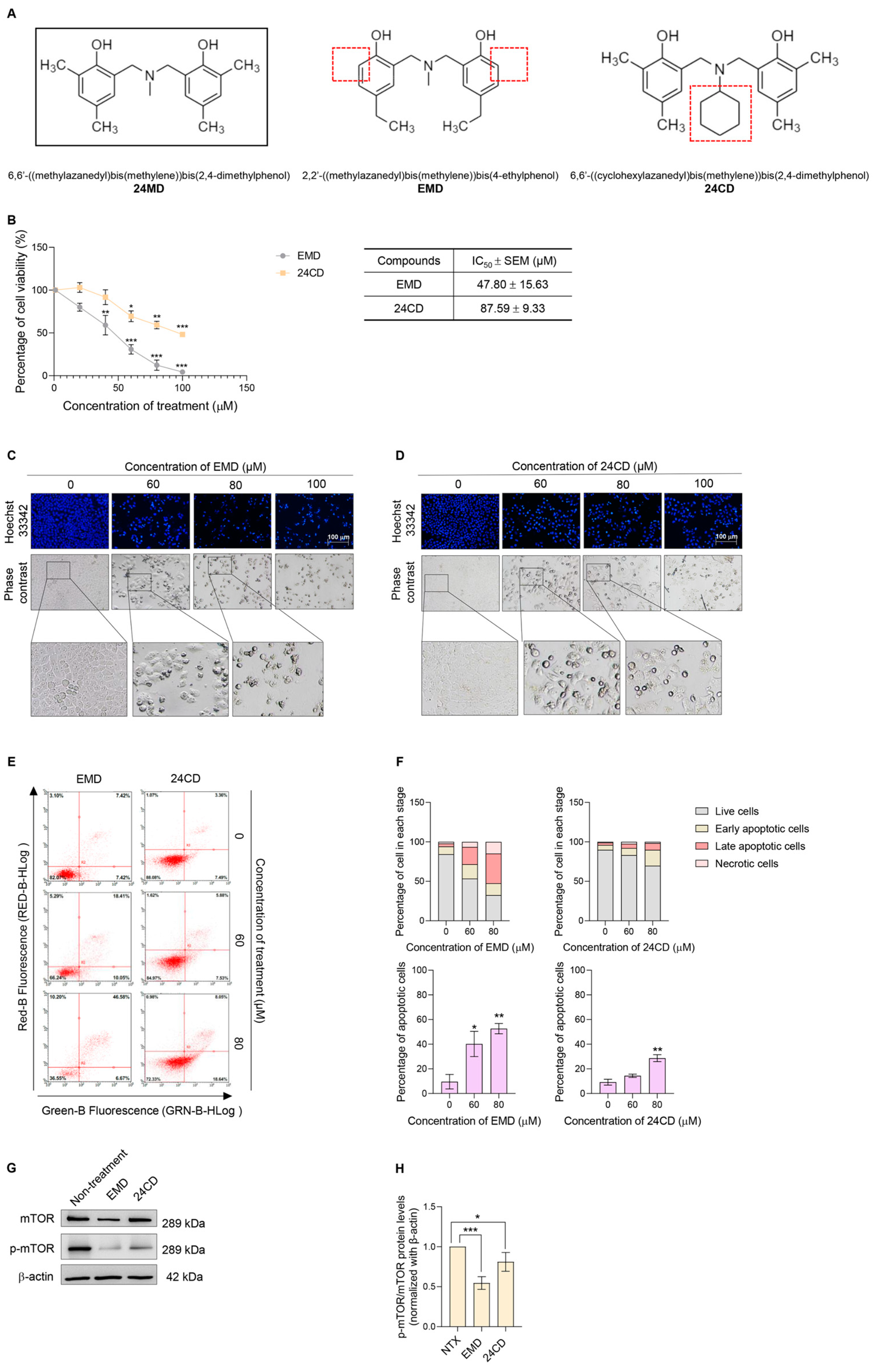 Molecules 27 06230 g004