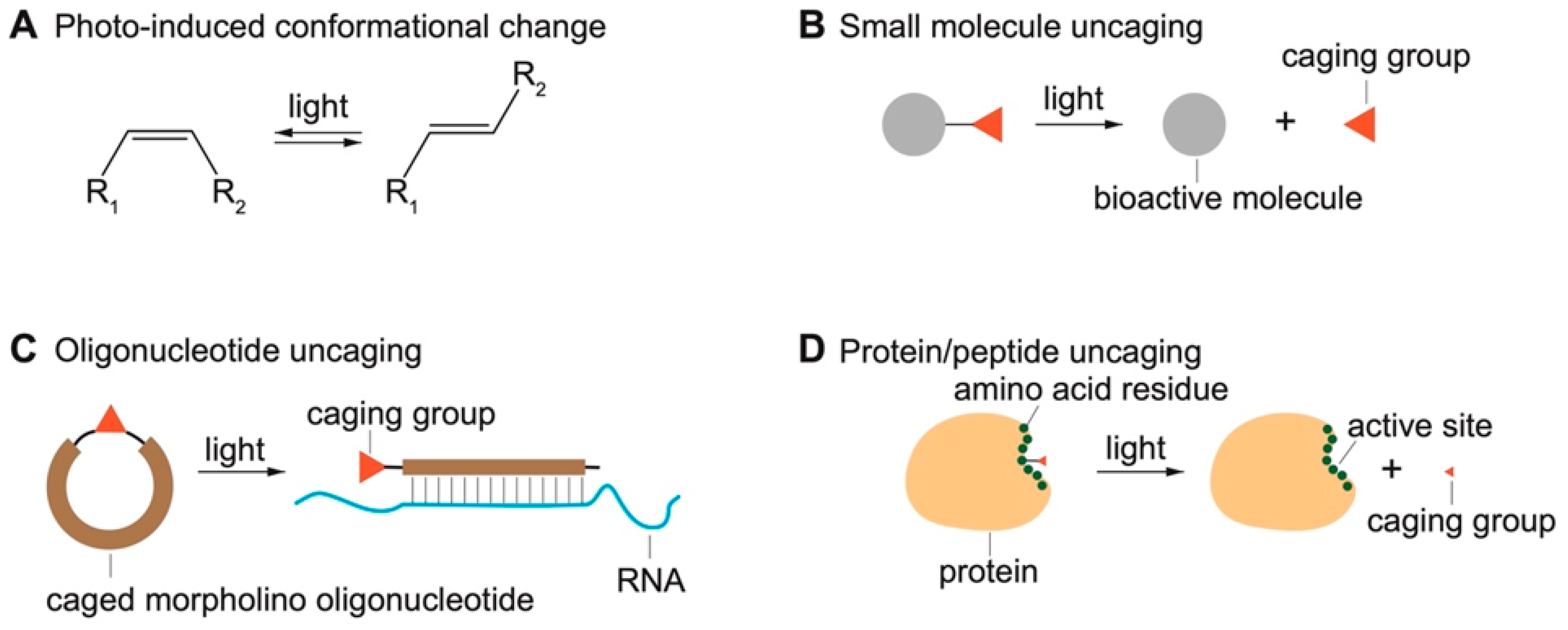 Molecules 27 06231 g001 Molecules 27 06231 g001