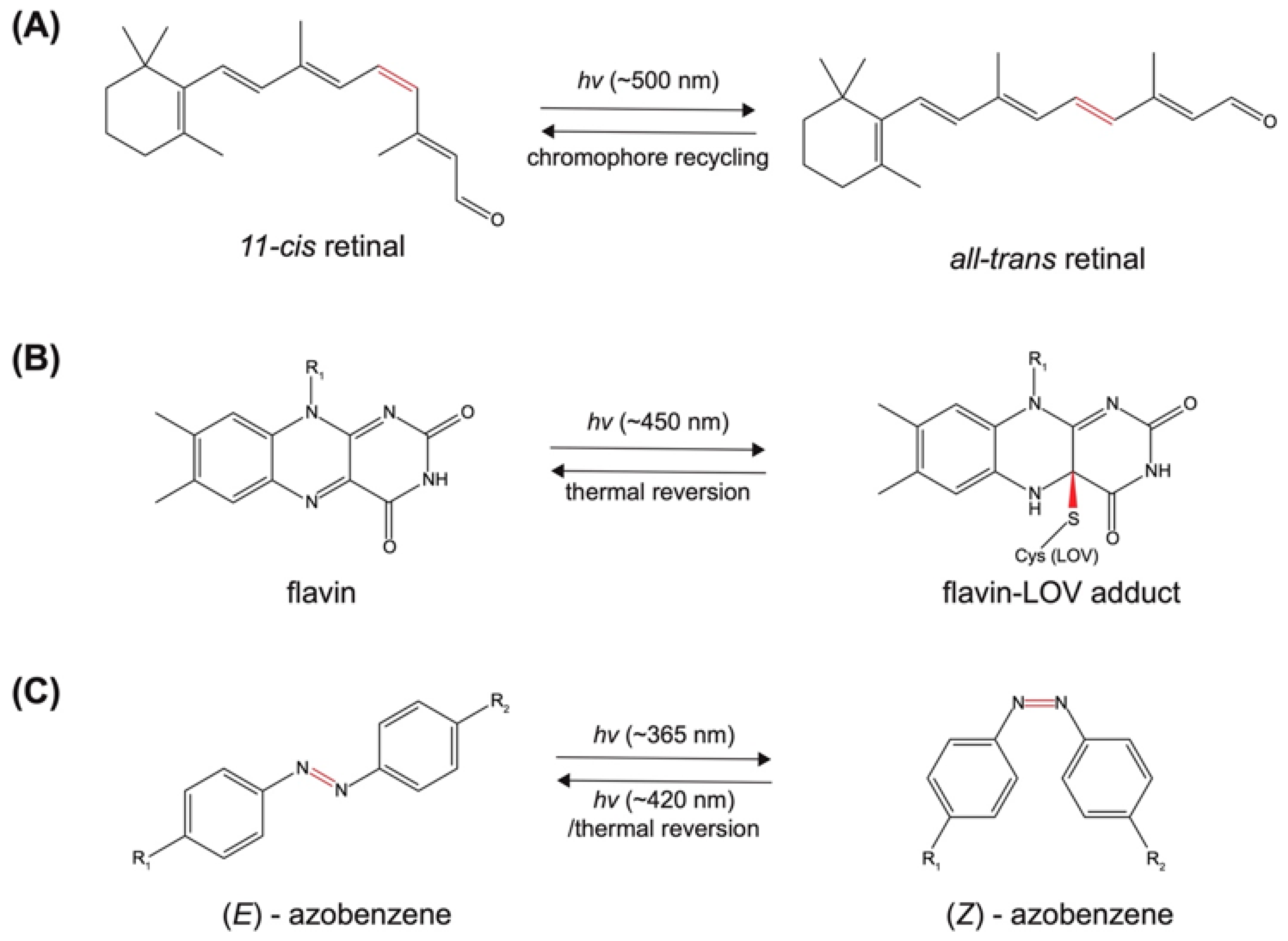 Molecules 27 06231 g002 Molecules 27 06231 g002