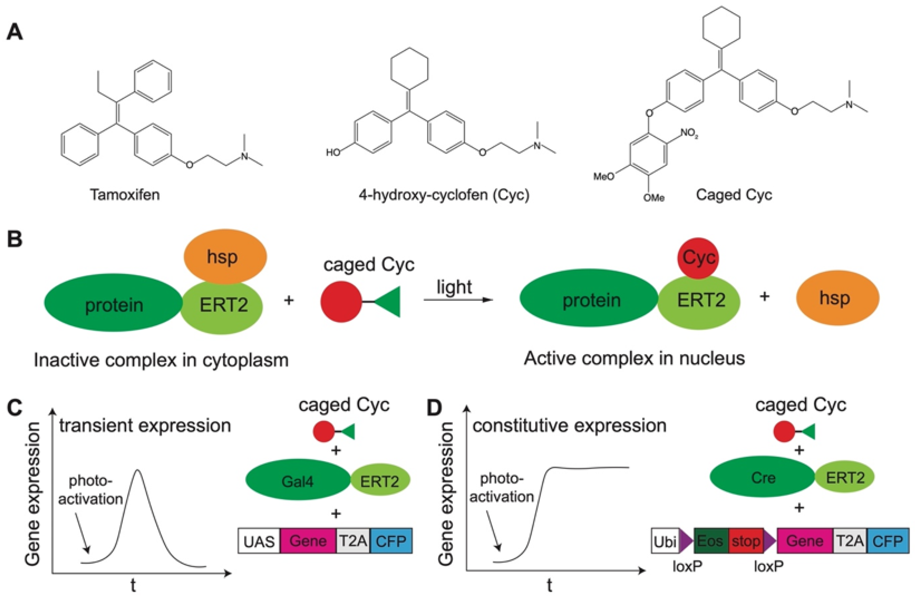 Molecules 27 06231 g004 Molecules 27 06231 g004