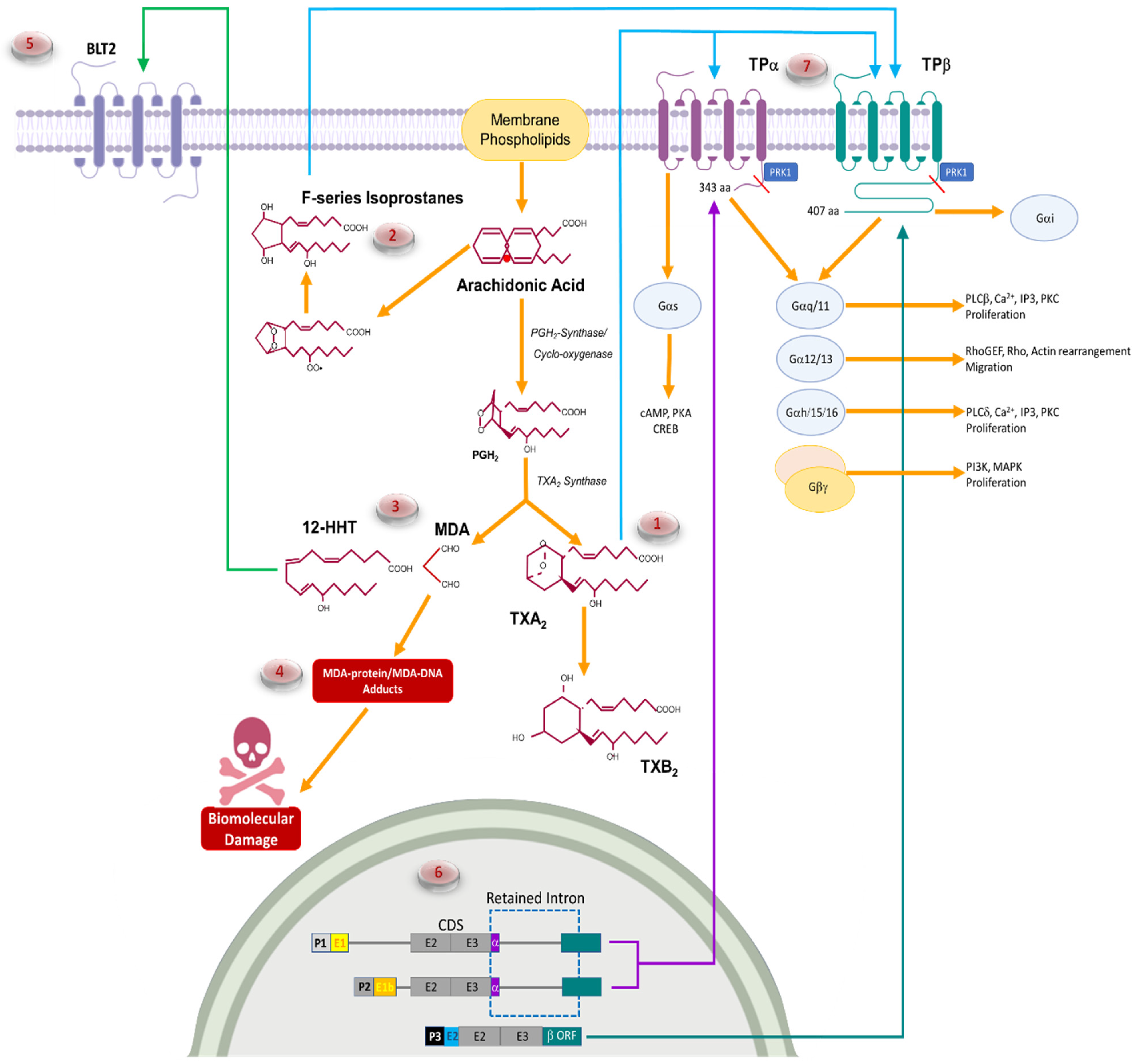 Molecules 27 06234 g001 Molecules 27 06234 g001
