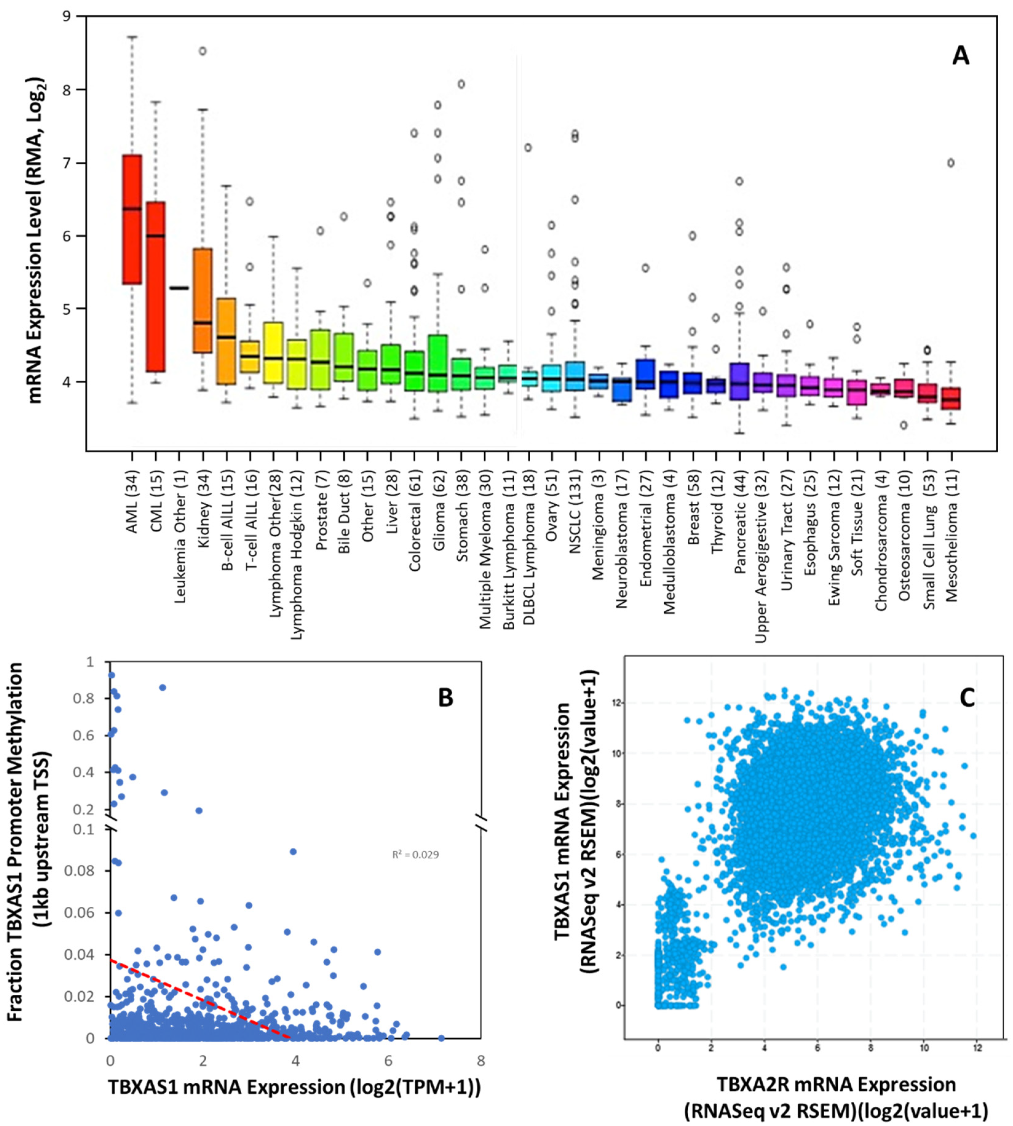 Molecules 27 06234 g004 Molecules 27 06234 g004