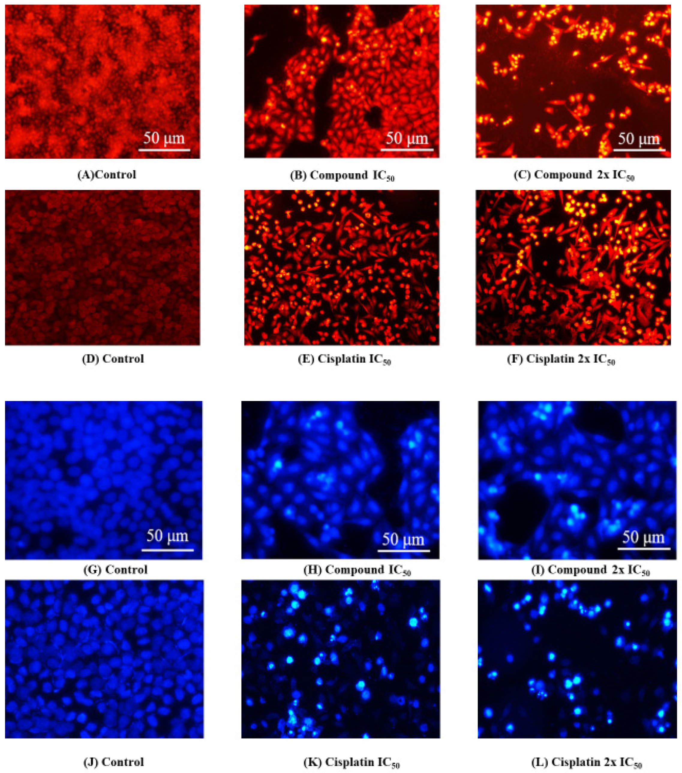 Molecules 27 06235 g004 Molecules 27 06235 g004