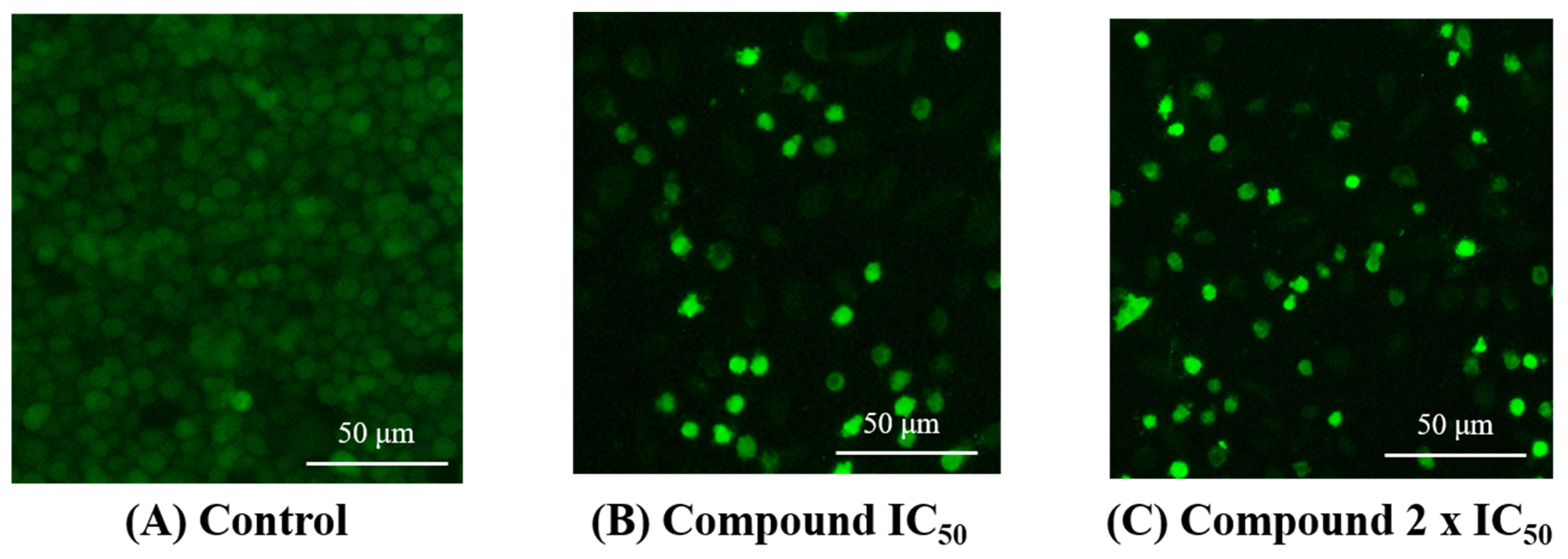 Molecules 27 06235 g005 Molecules 27 06235 g005
