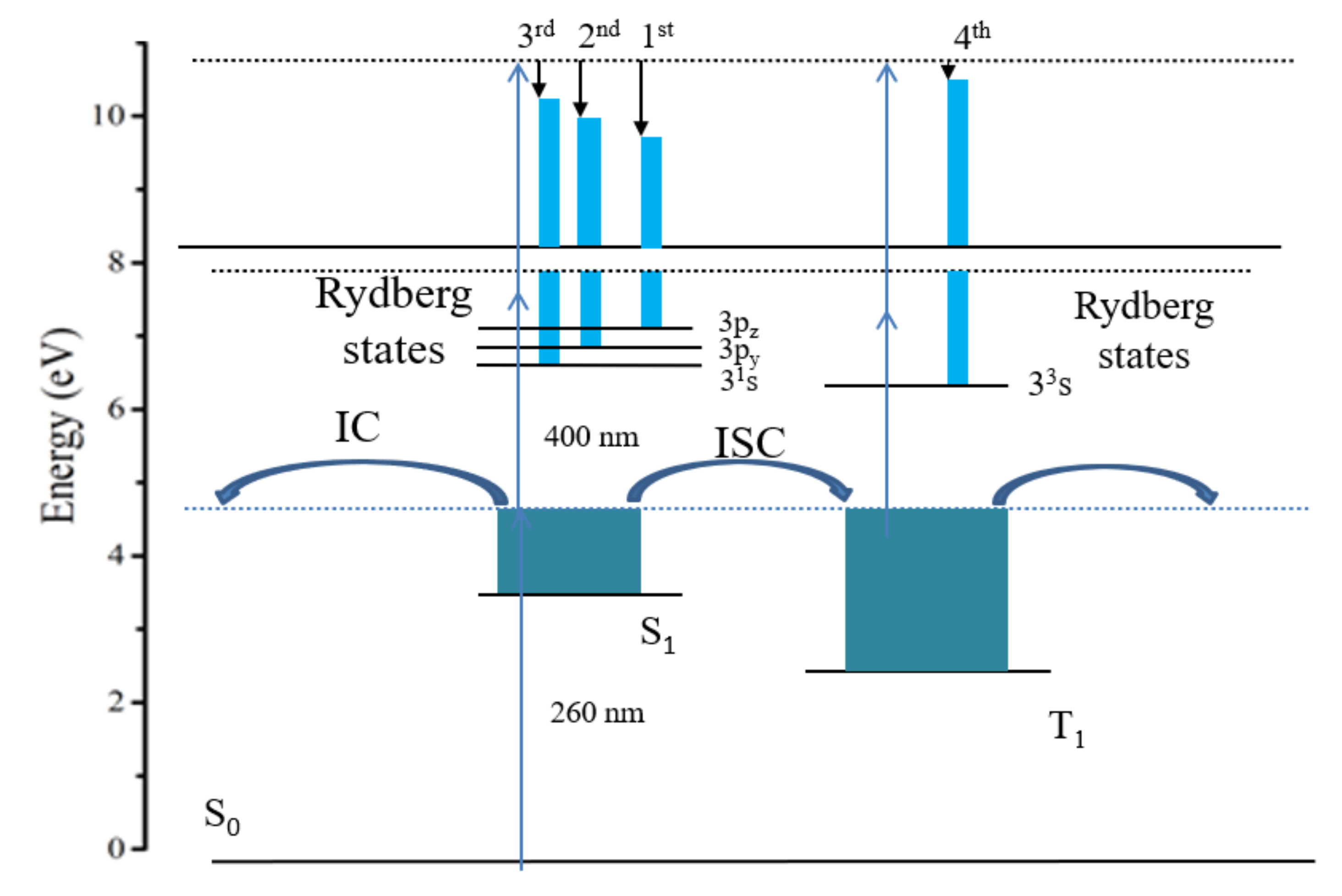 Molecules 27 06245 g007