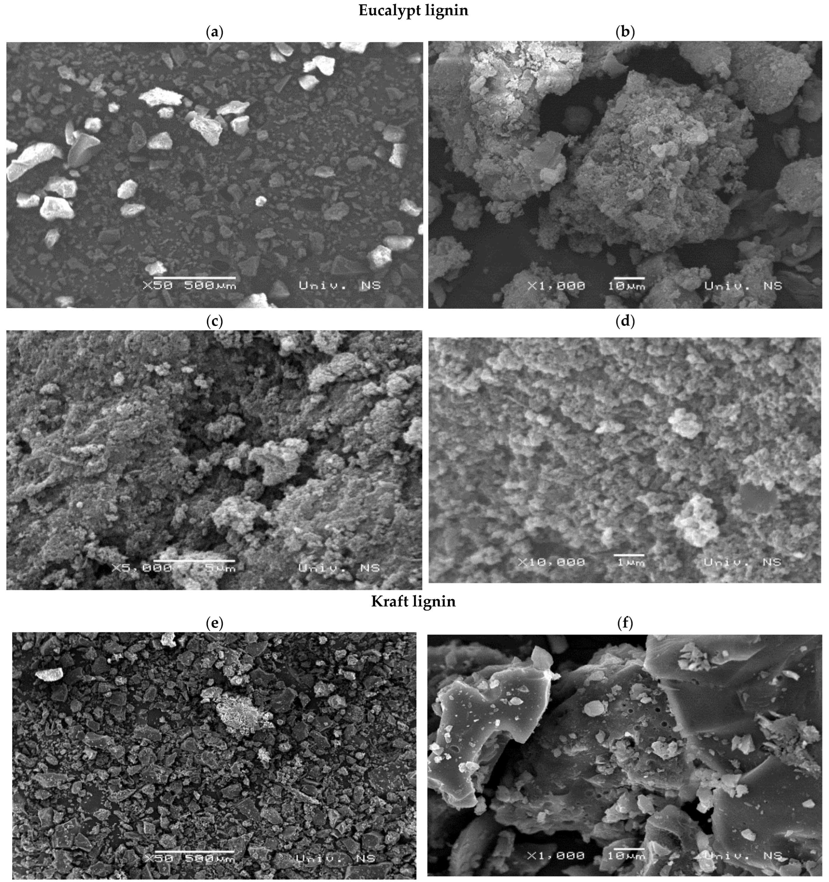 Molecules 27 06246 g004a Molecules 27 06246 g004a