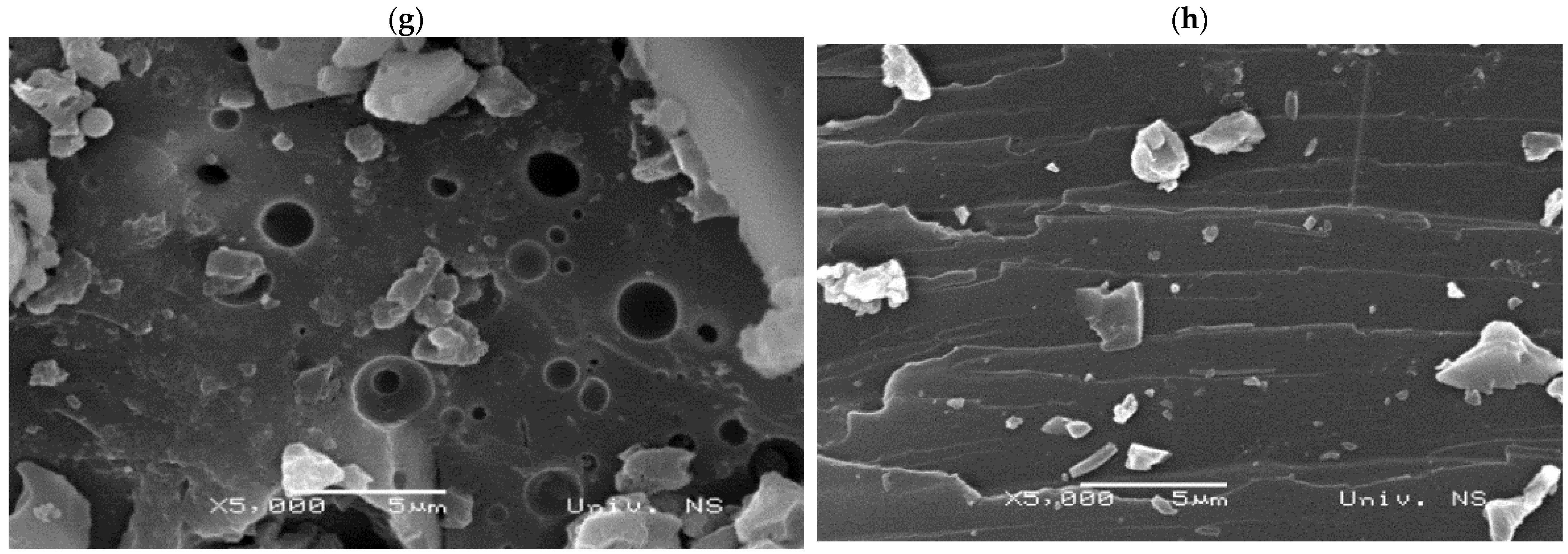 Molecules 27 06246 g004b Molecules 27 06246 g004b