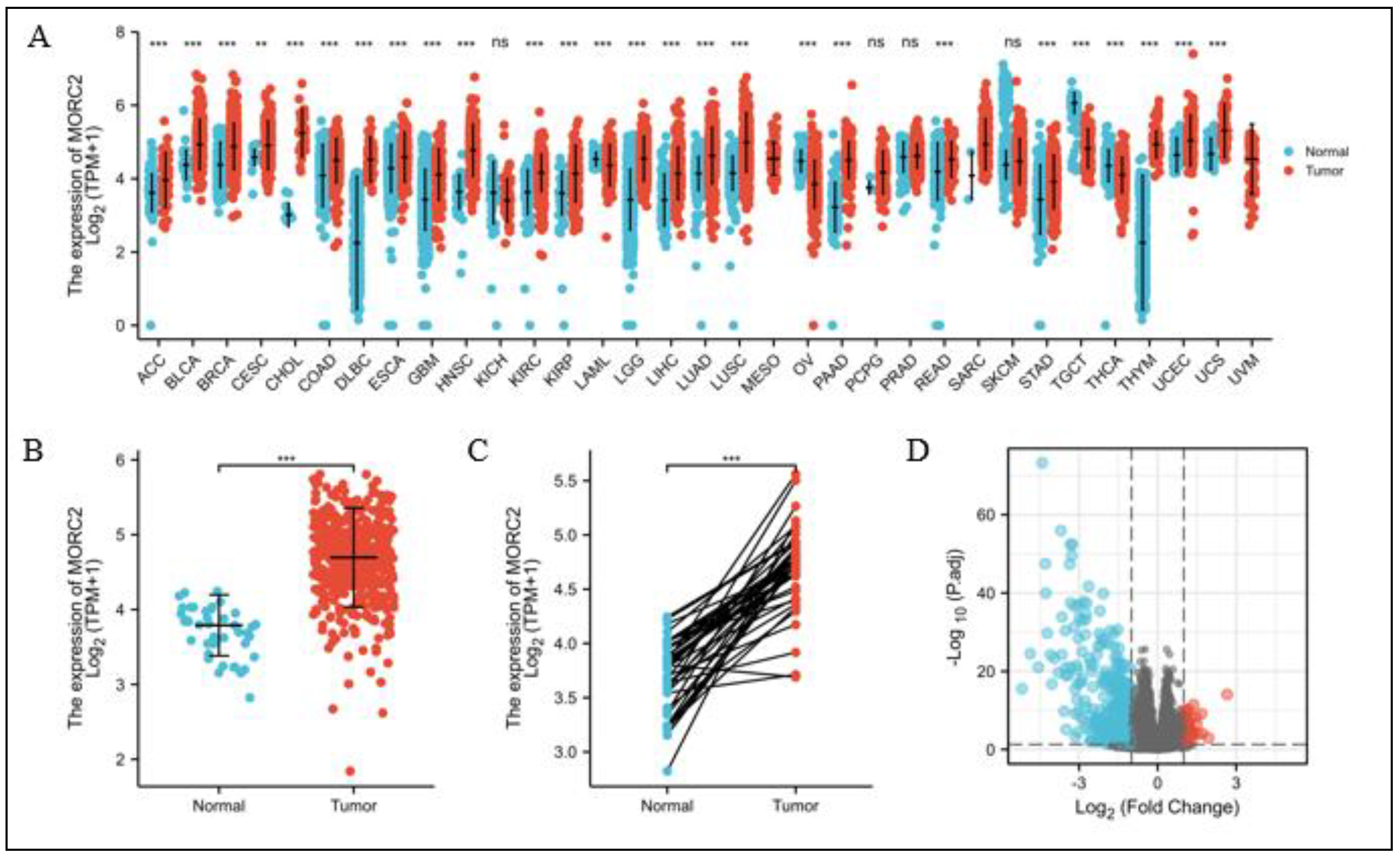 Molecules 27 06247 g001 Molecules 27 06247 g001