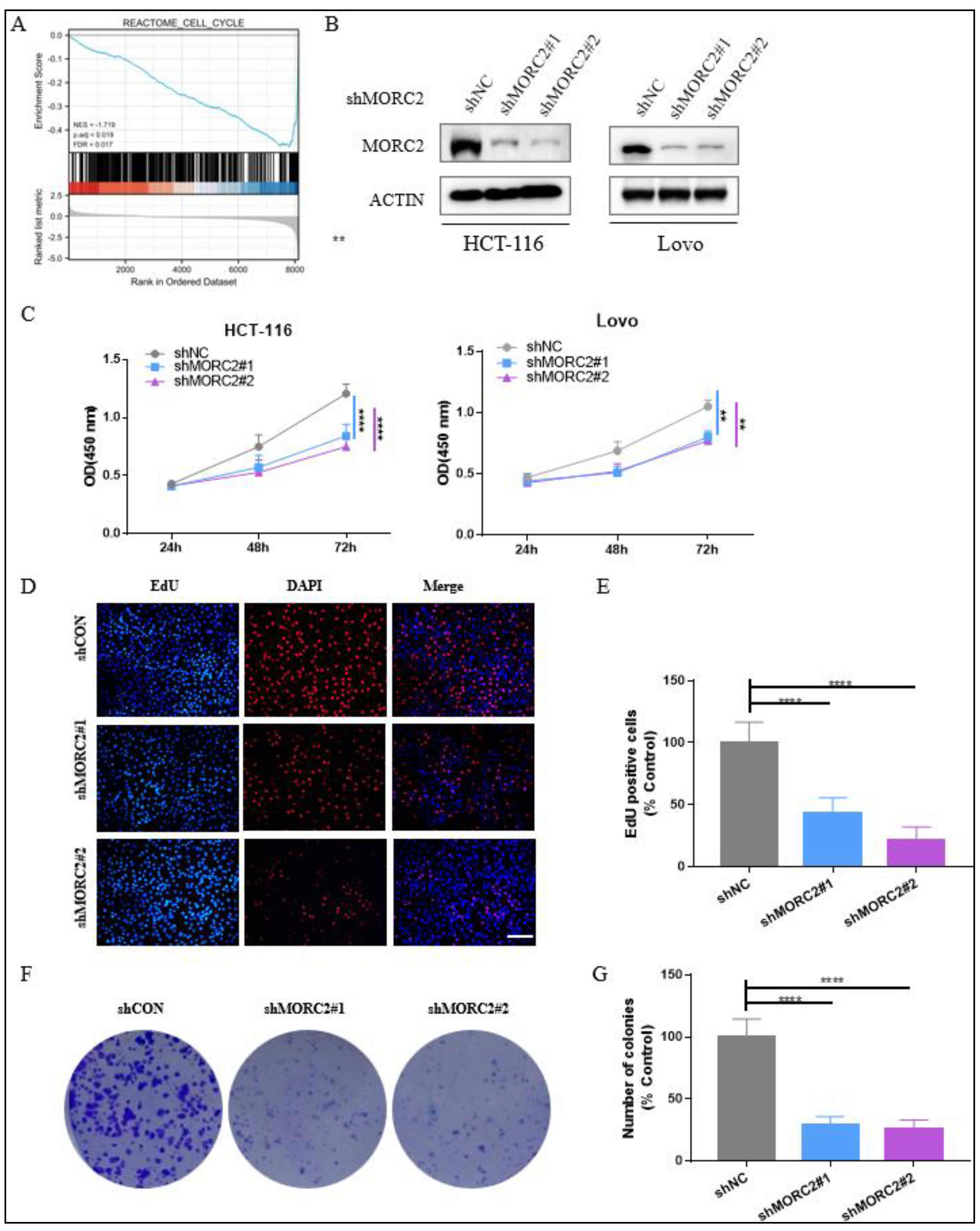 Molecules 27 06247 g002 Molecules 27 06247 g002