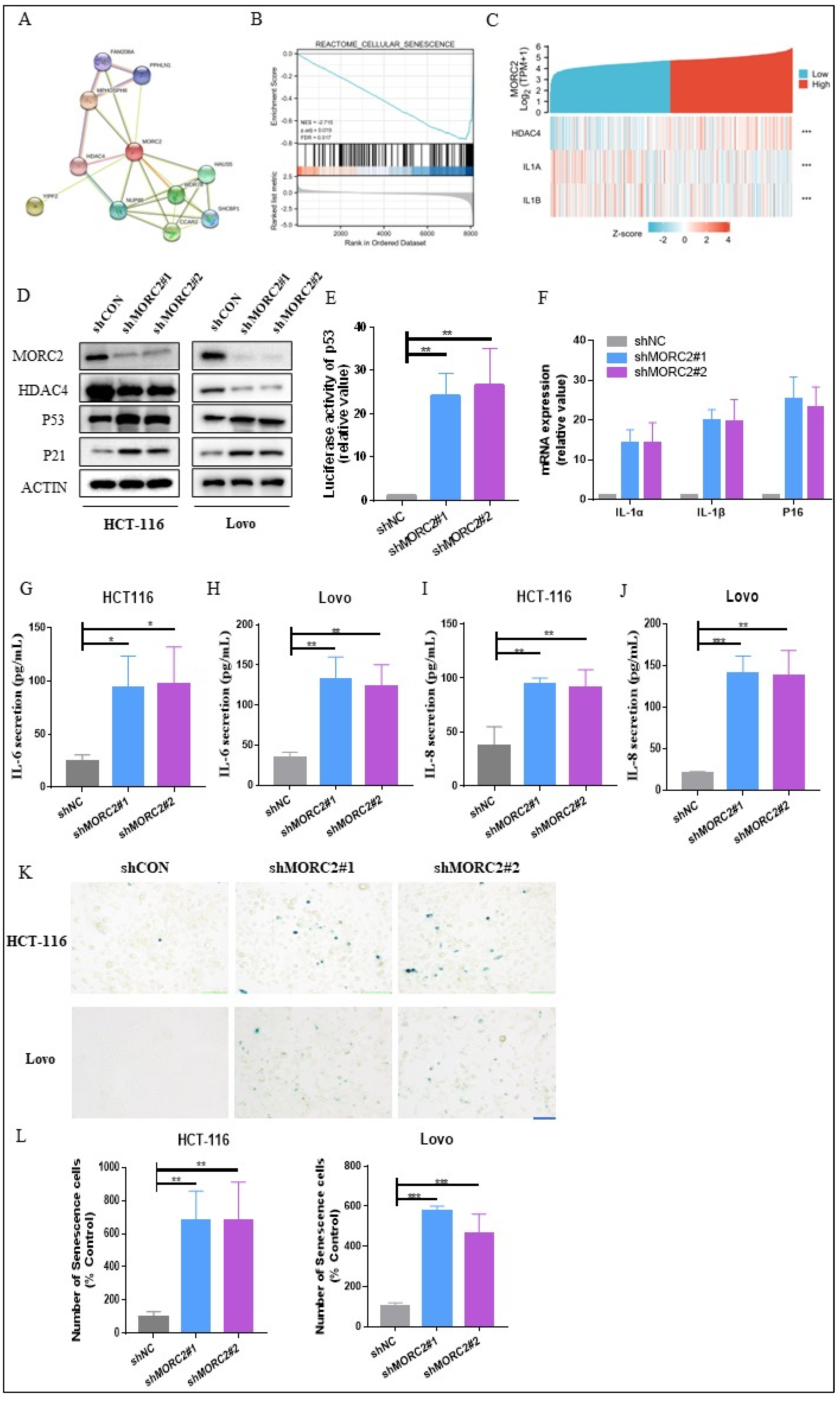 Molecules 27 06247 g003 Molecules 27 06247 g003