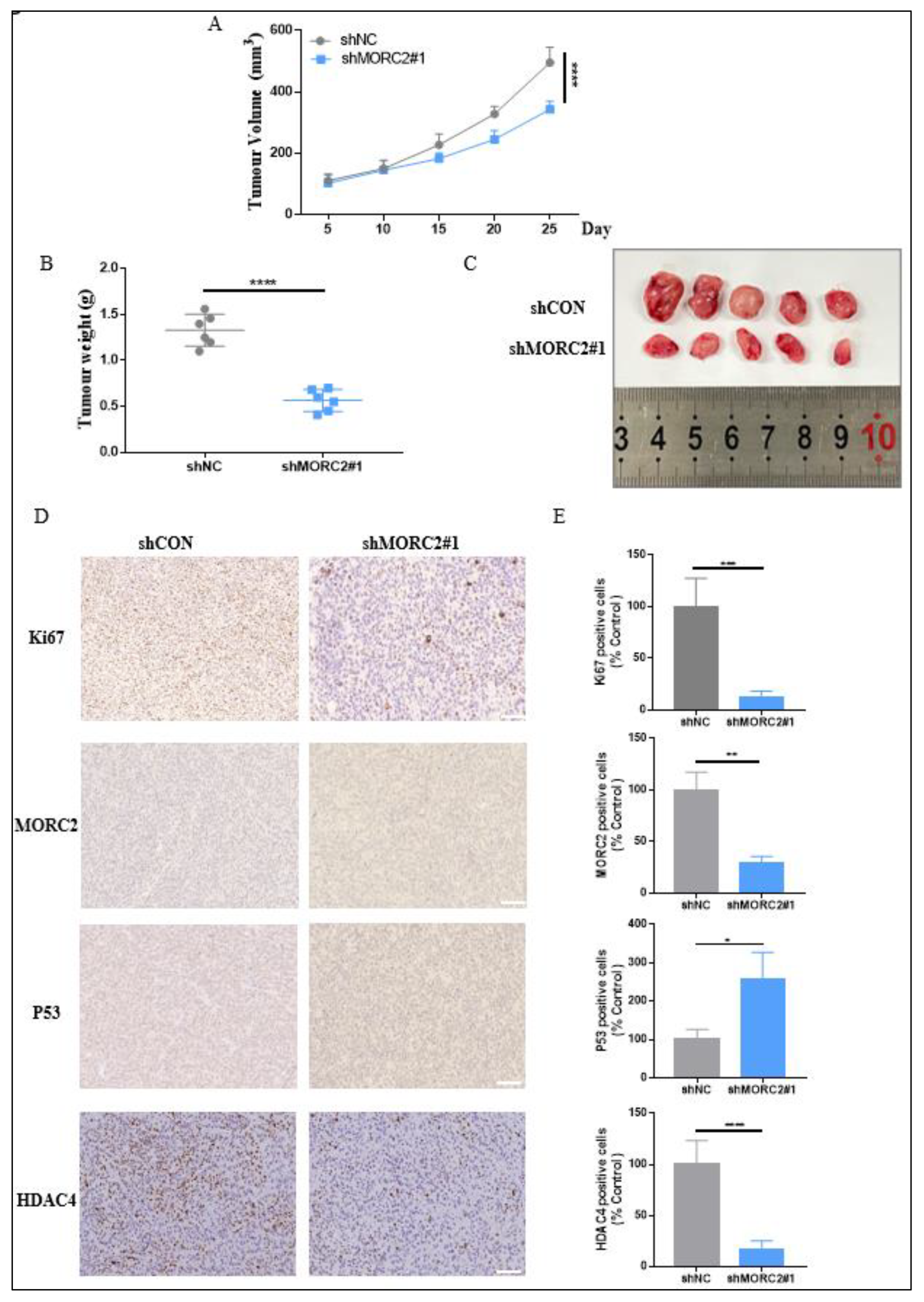 Molecules 27 06247 g004 Molecules 27 06247 g004