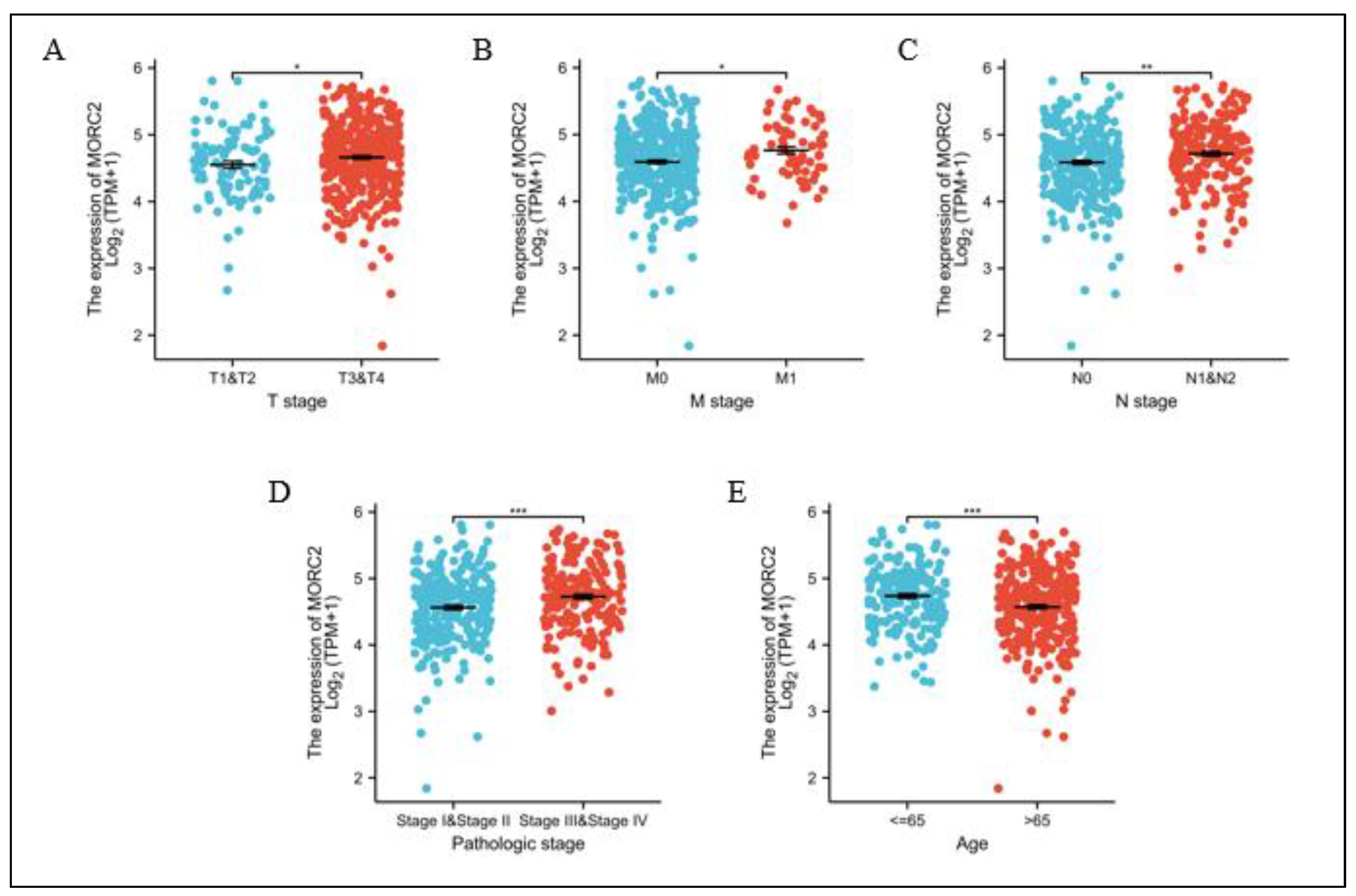 Molecules 27 06247 g005 Molecules 27 06247 g005