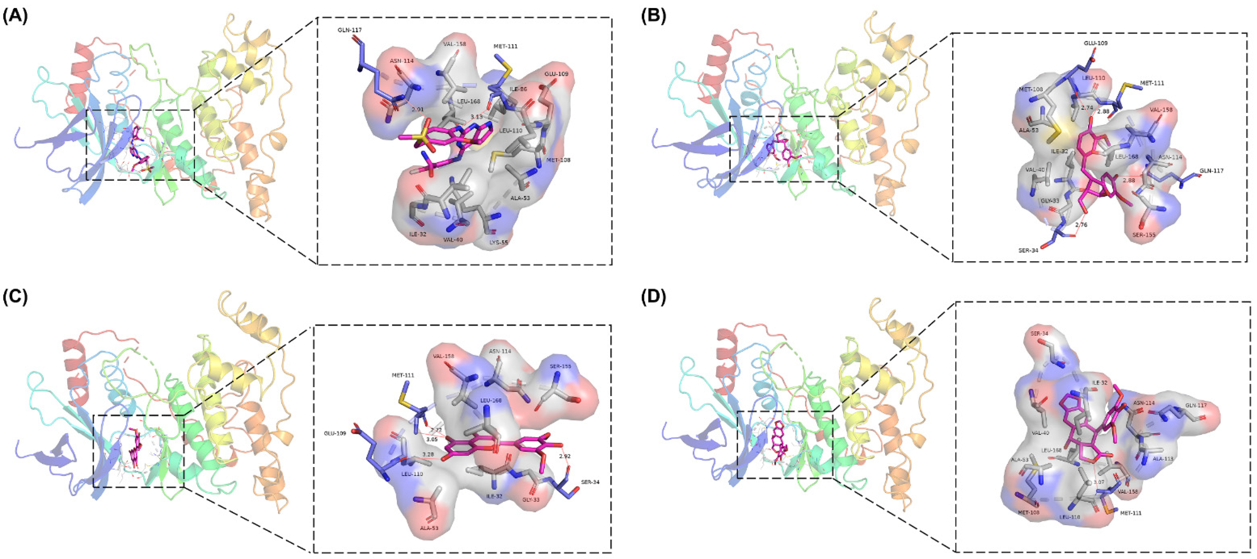 Molecules 27 06249 g006