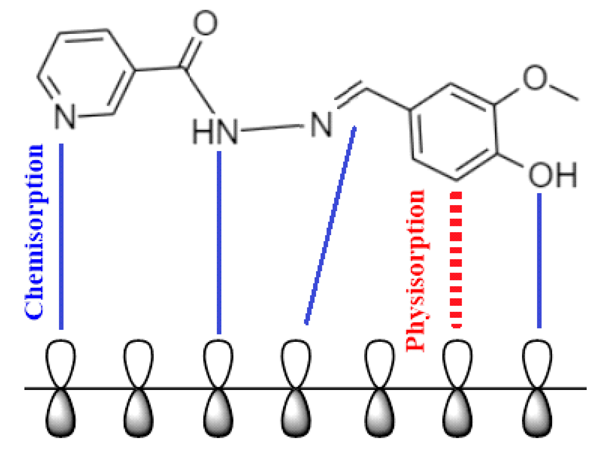 Molecules 27 06254 g012