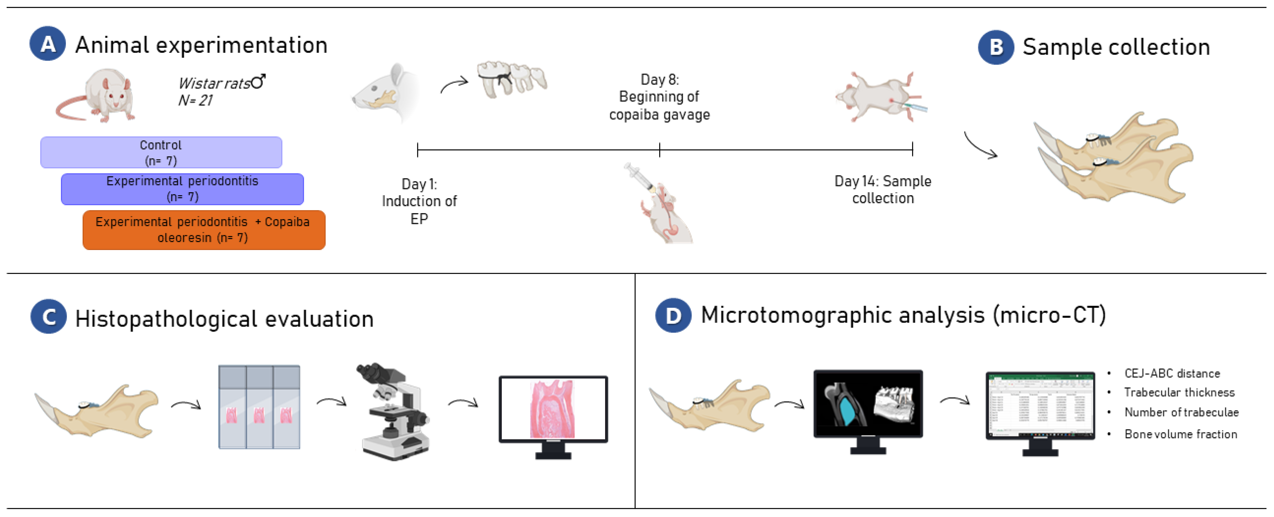 Molecules 27 06255 g007 Molecules 27 06255 g007