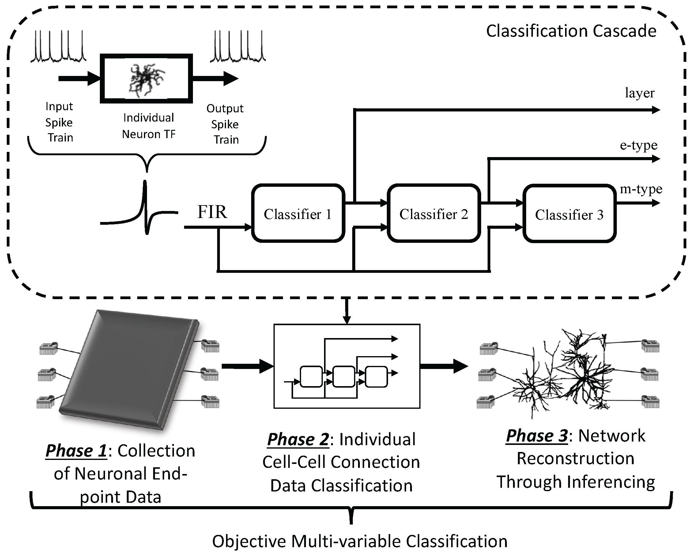 Molecules 27 06256 g001