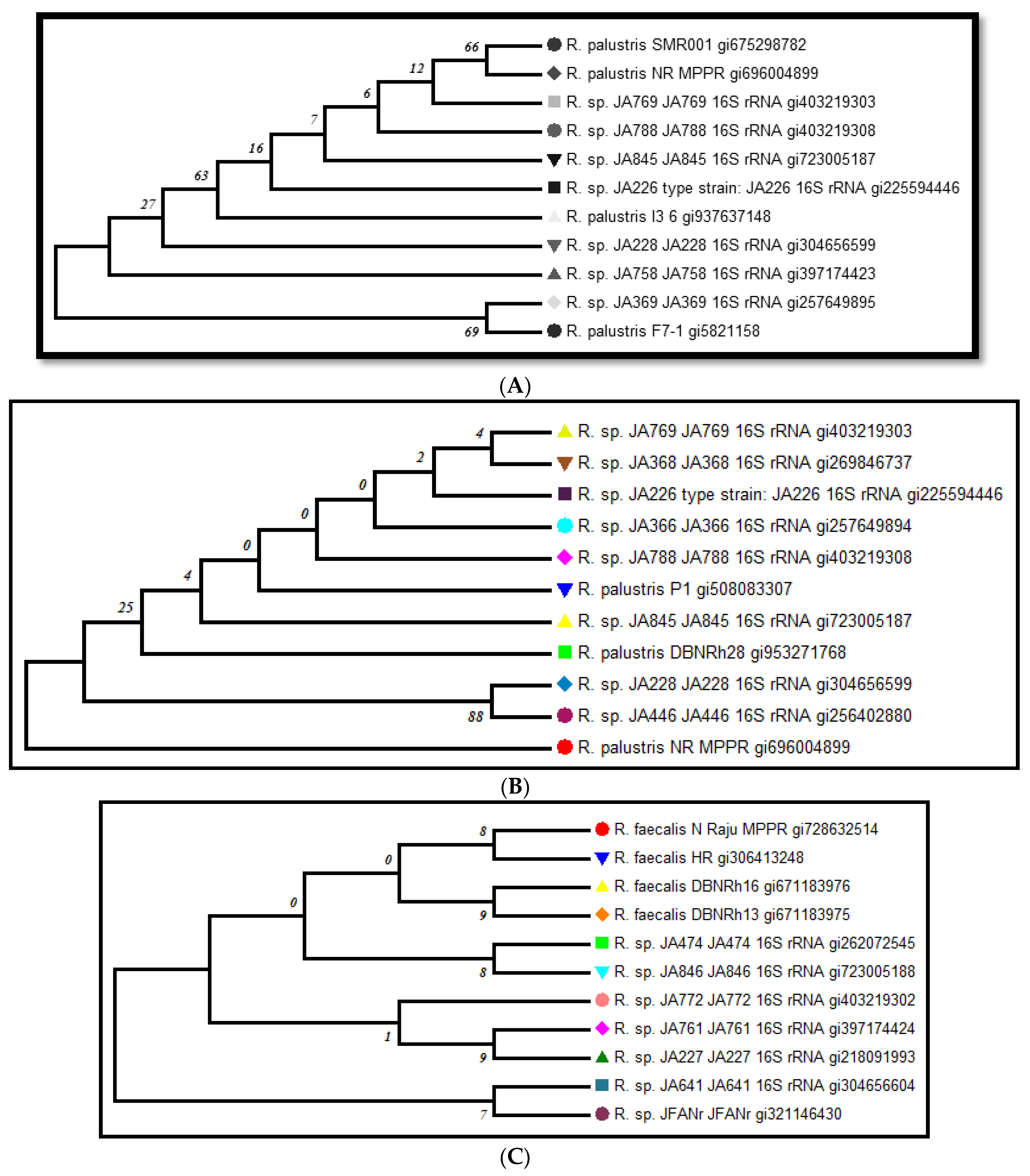 Molecules 27 06265 g003
