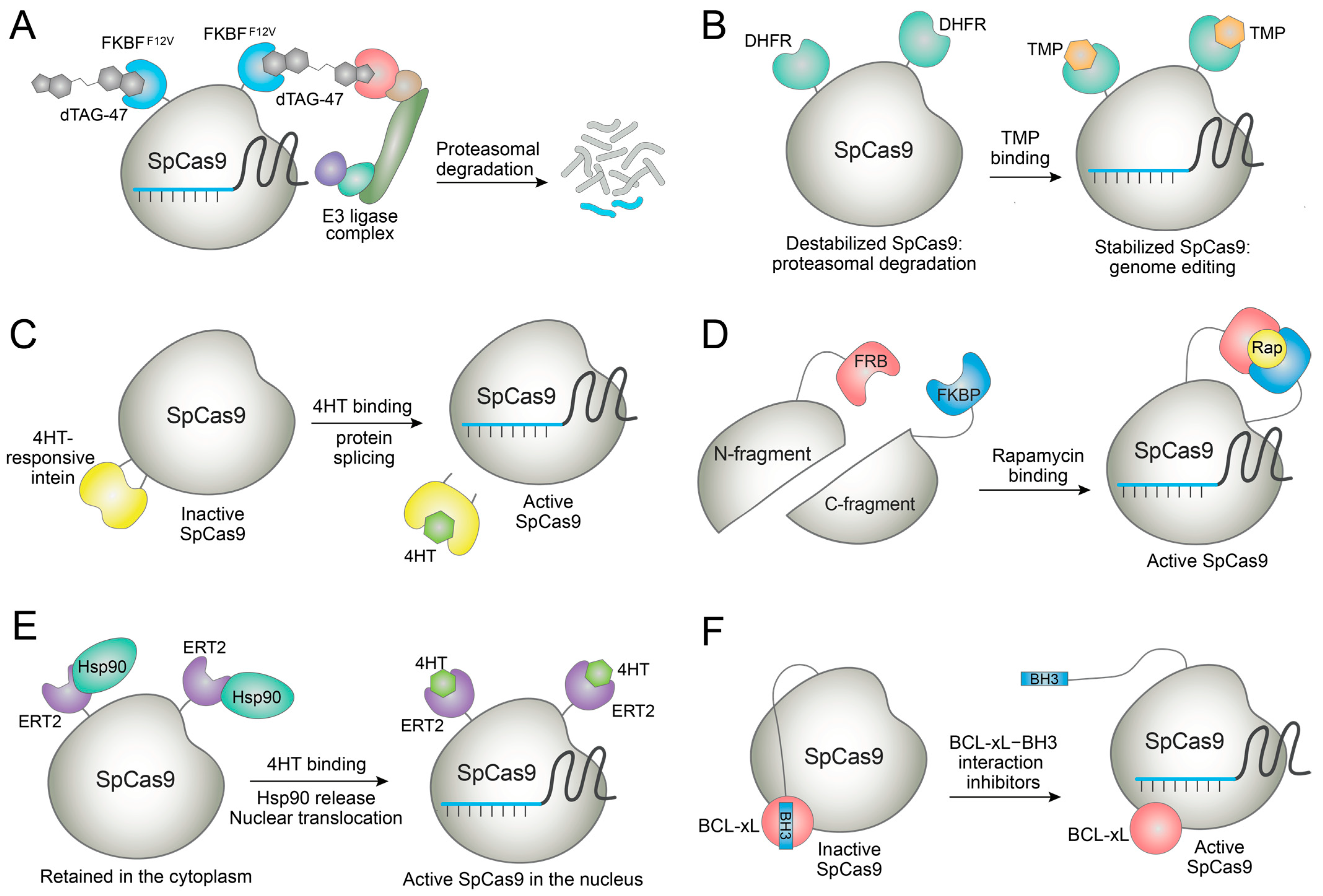 Molecules 27 06266 g004 Molecules 27 06266 g004