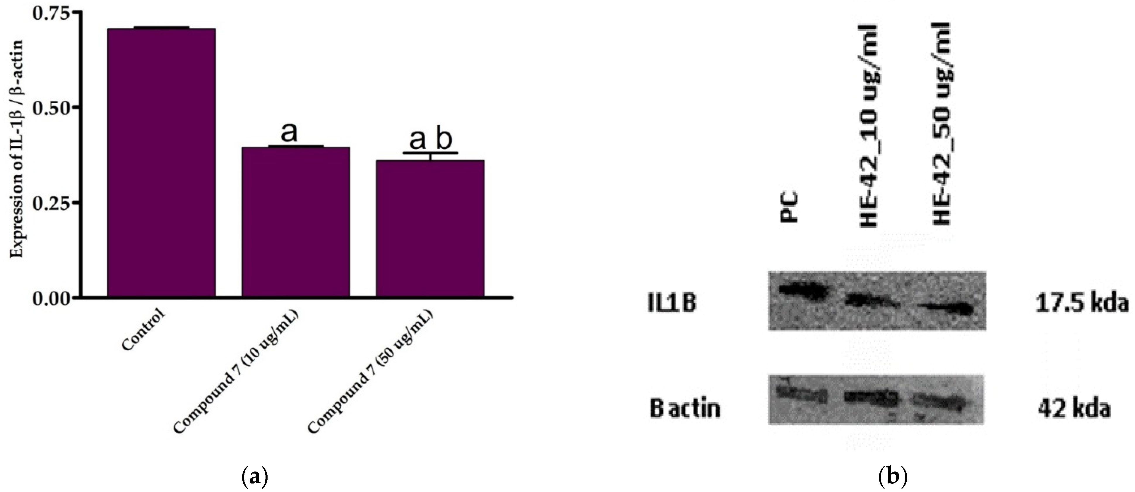 Molecules 27 06271 g006 Molecules 27 06271 g006
