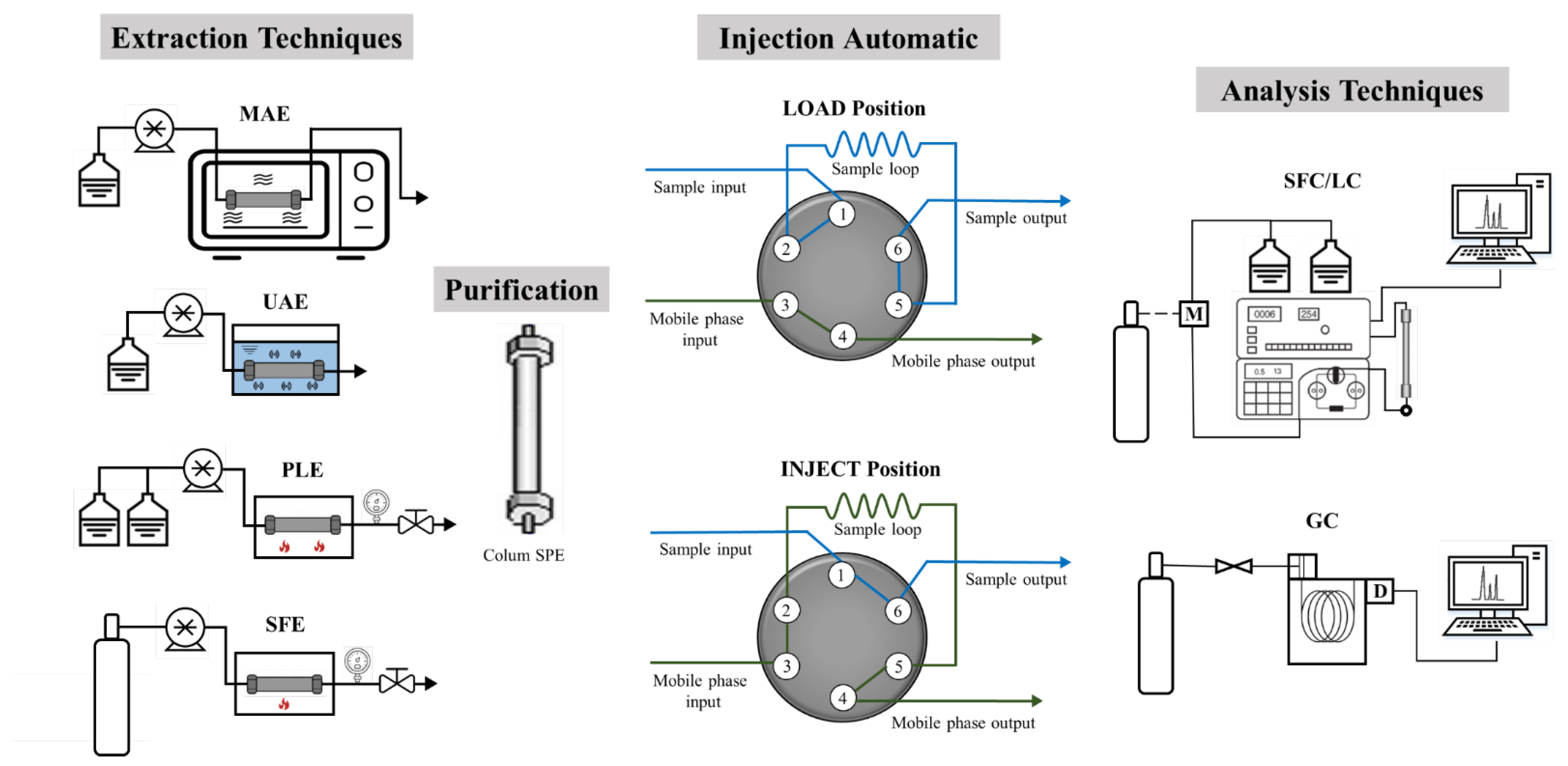 Molecules 27 06272 g004