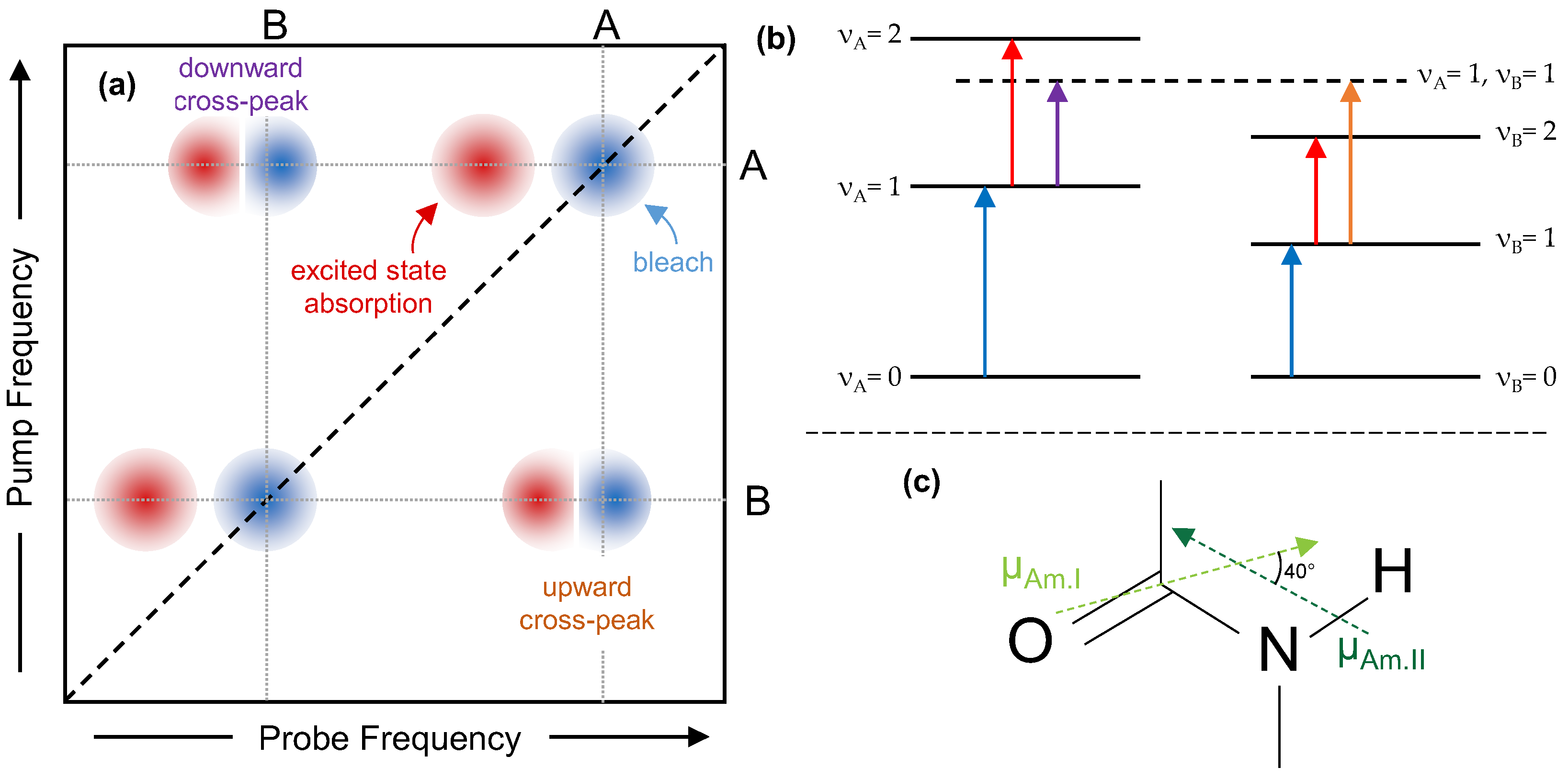 Molecules 27 06275 g001