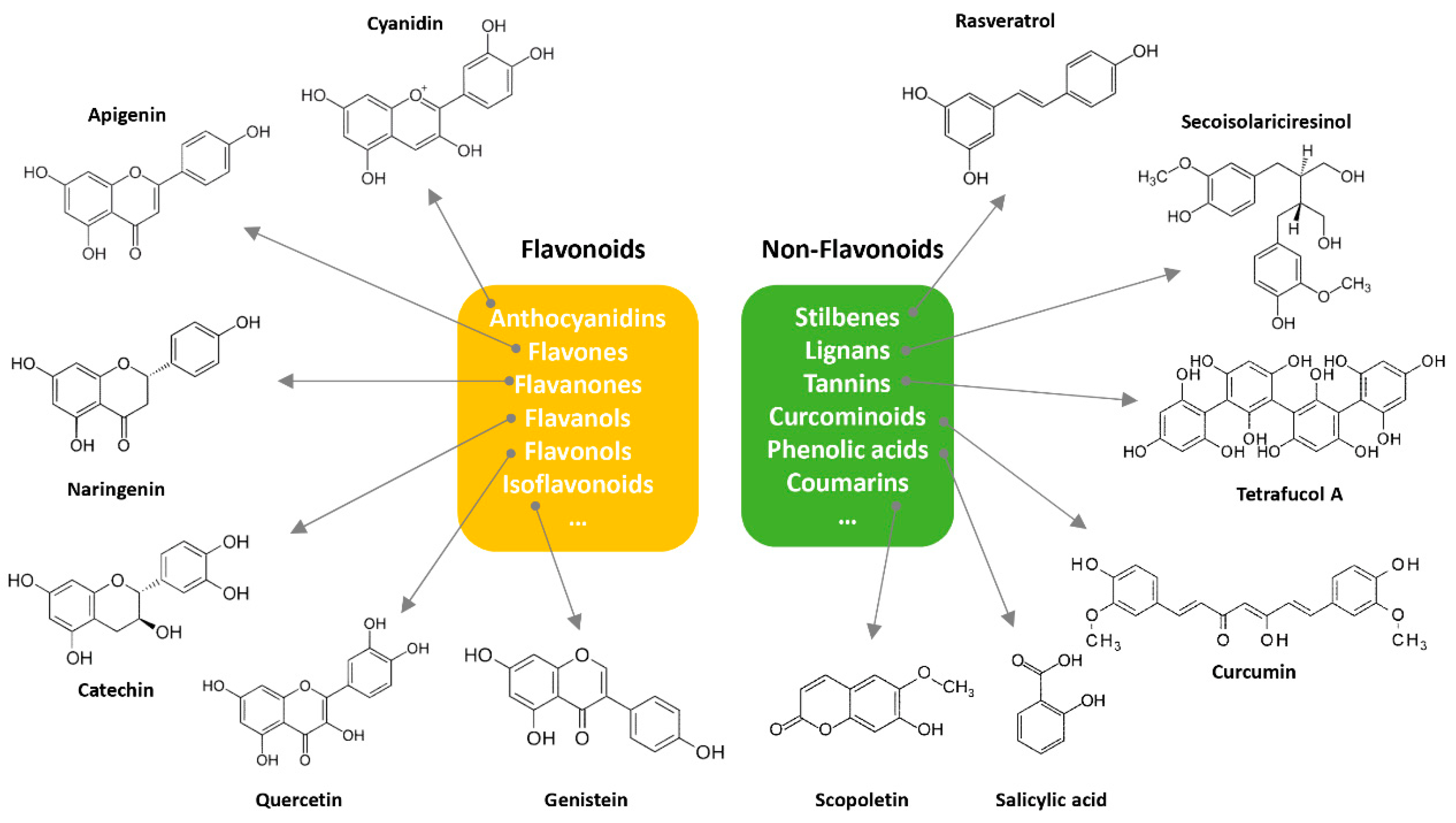 Molecules 27 06280 g001 Molecules 27 06280 g001