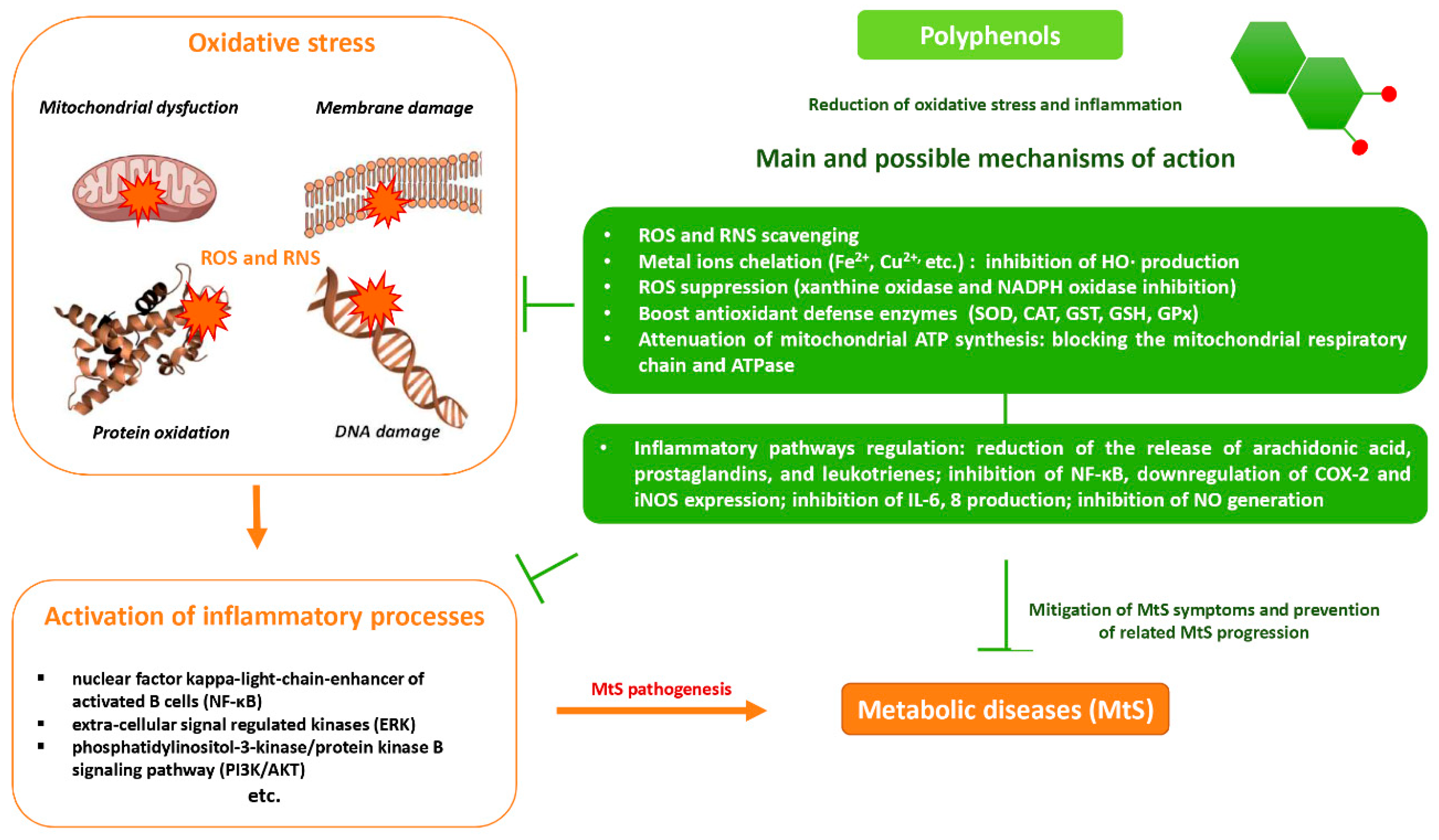 Molecules 27 06280 g003 Molecules 27 06280 g003