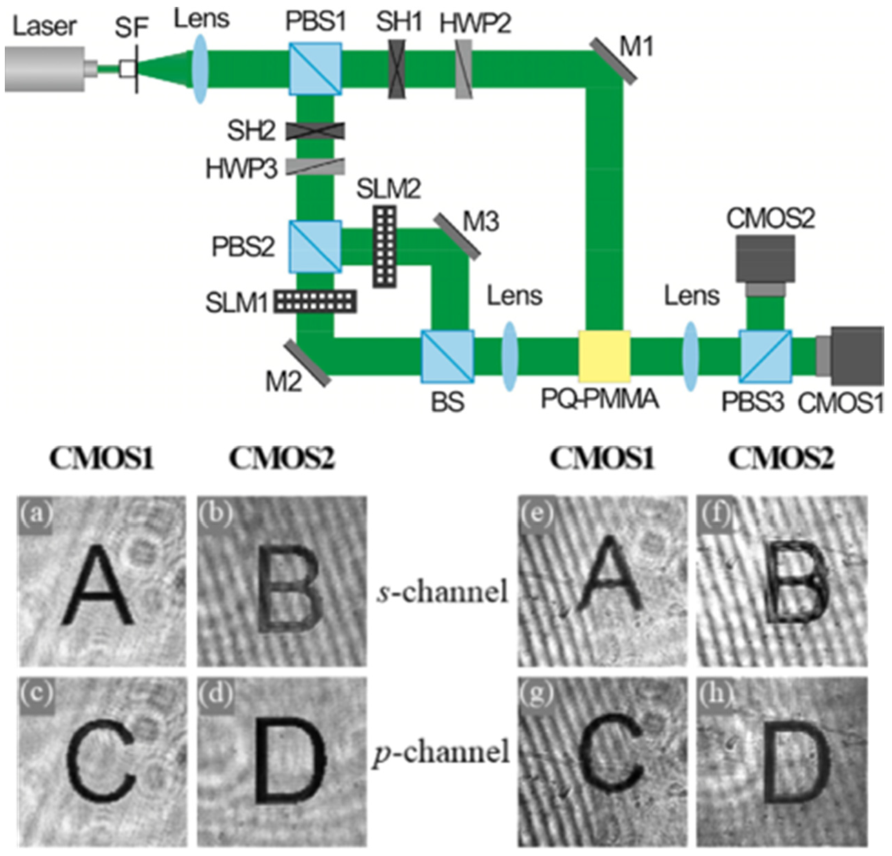 Molecules 27 06283 g004 Molecules 27 06283 g004
